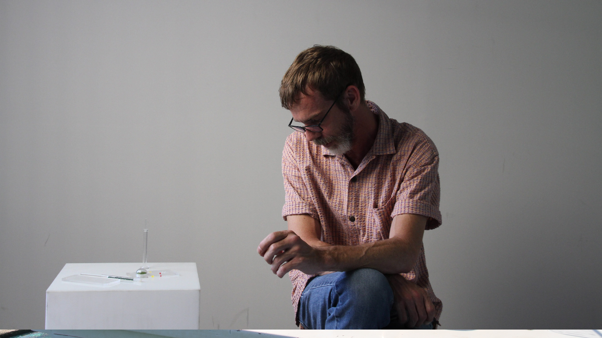 Chris / Tardigrade / New York