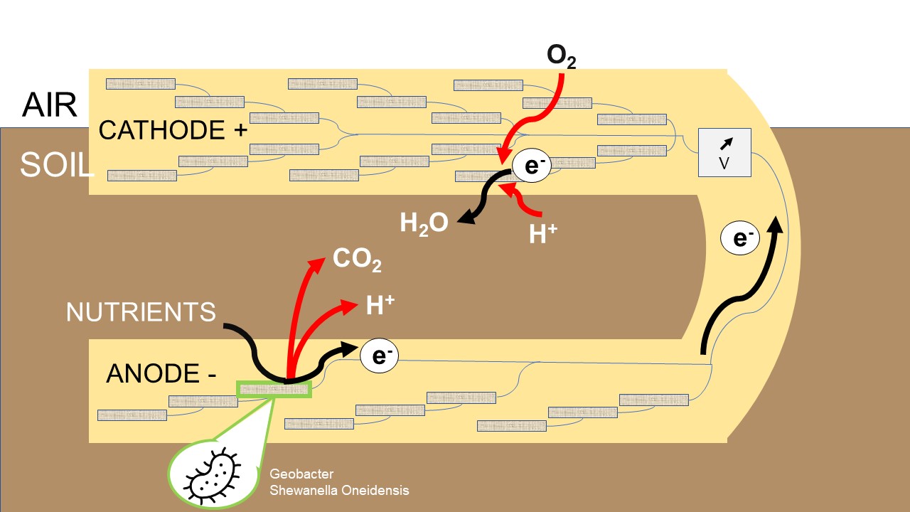 A cross-section diagram showing reaction flow
