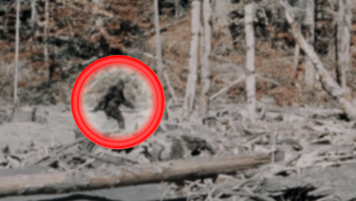 Bigfoot, Patterson–Gimlin, 1967
