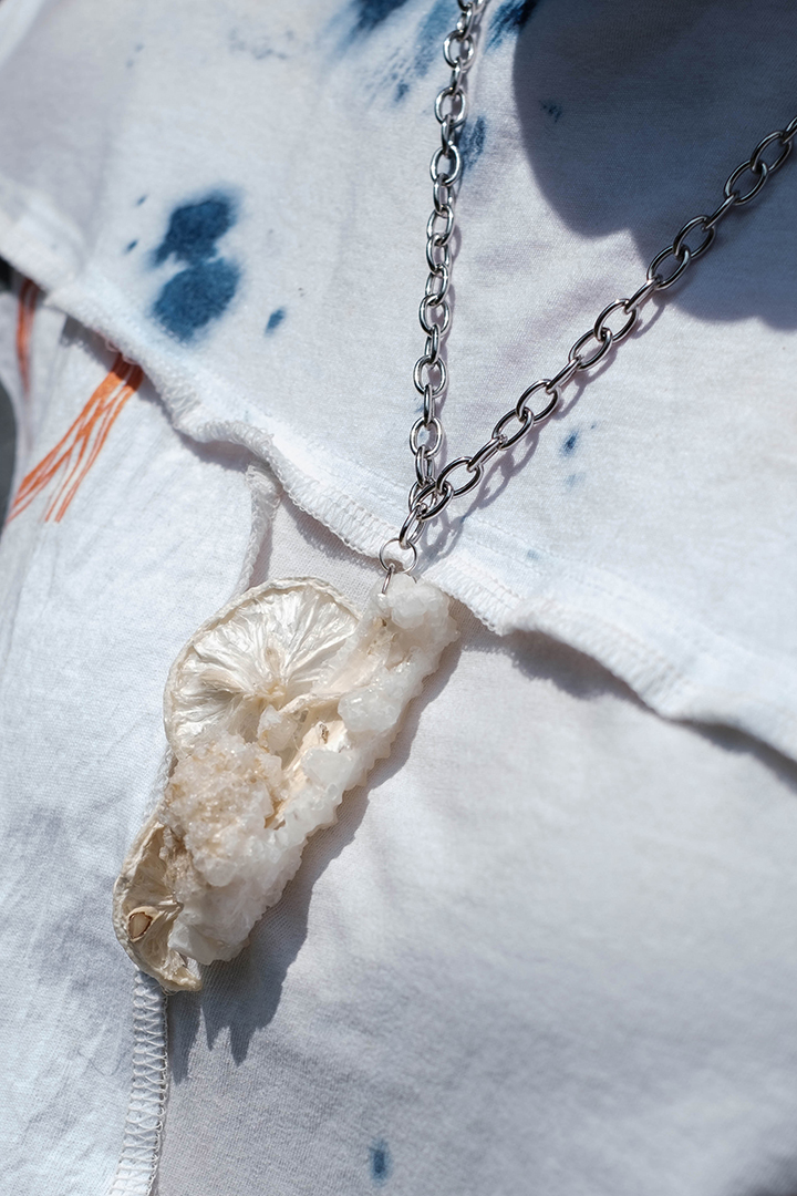 Decellularized Vegetable Necklace