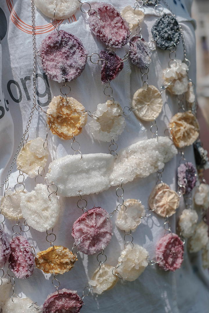 Decellularized Vegetable Apron