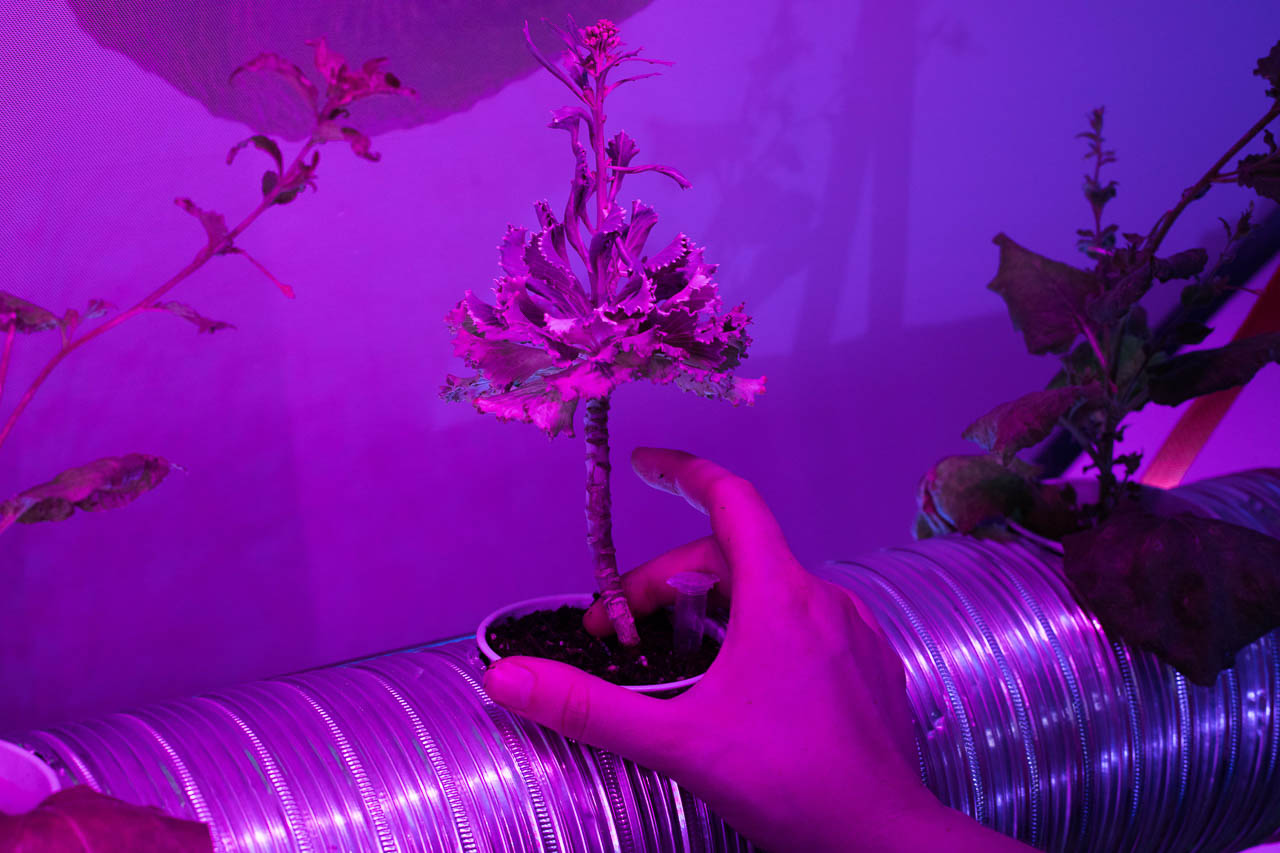 The Data Garden - caring for data hosts
