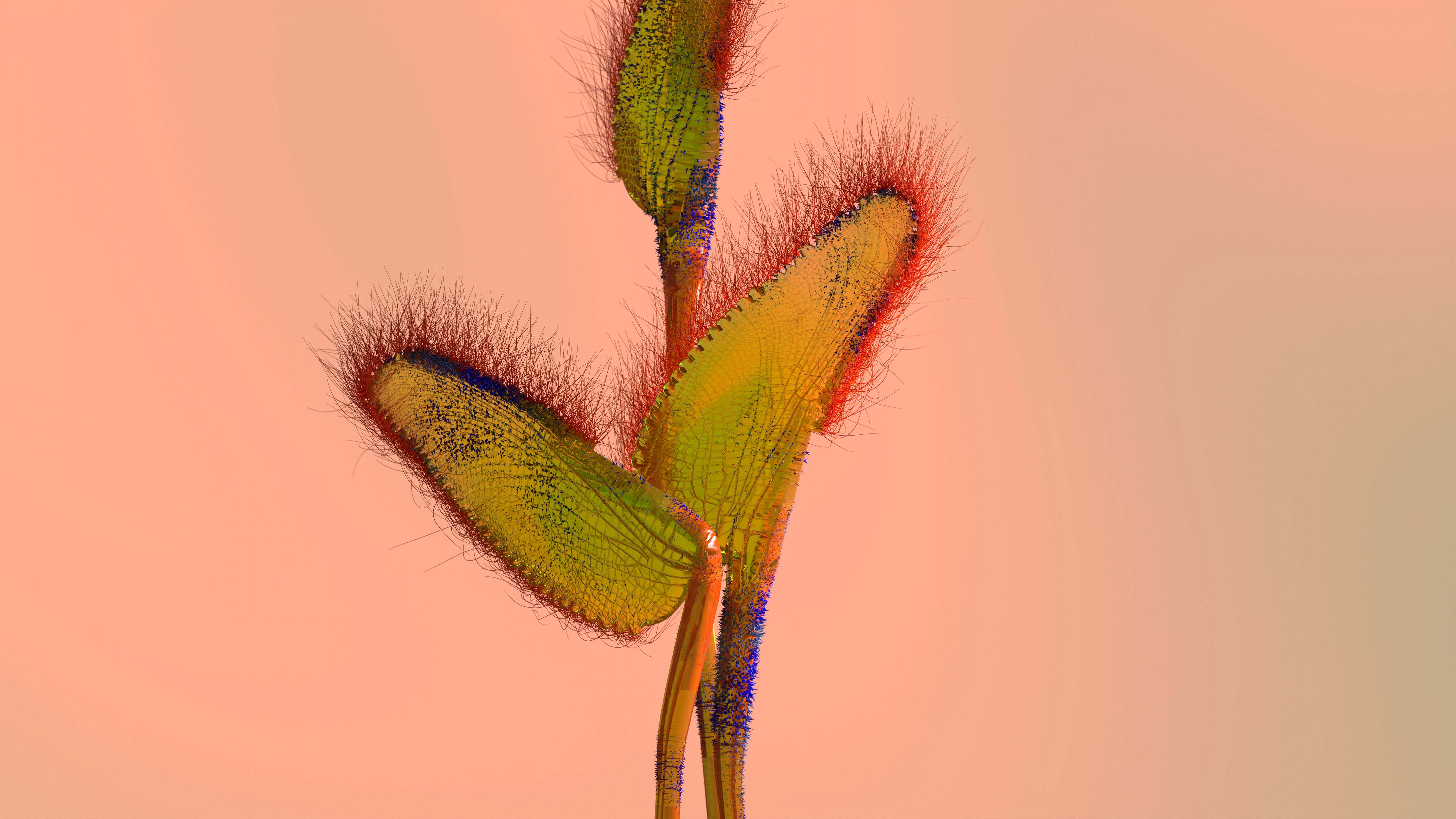 Fuzzy Trichome