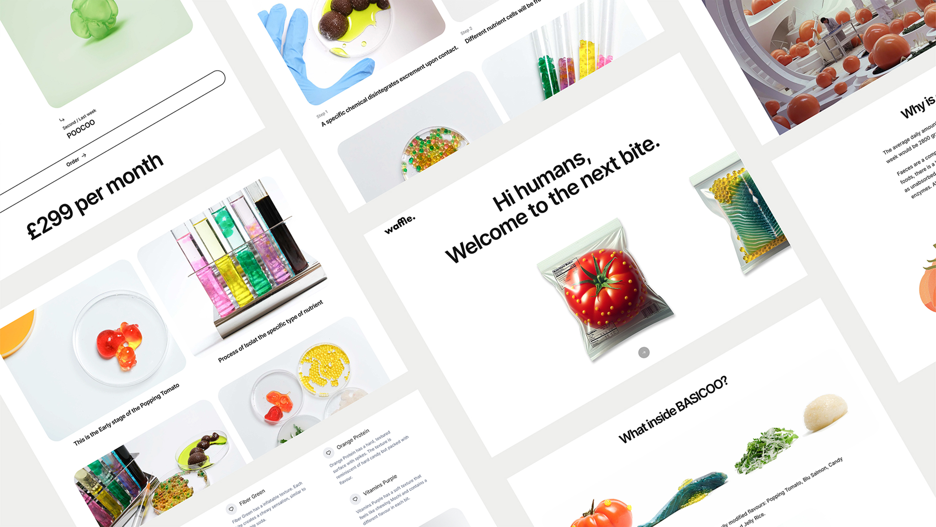 ‘The Next Bite' website