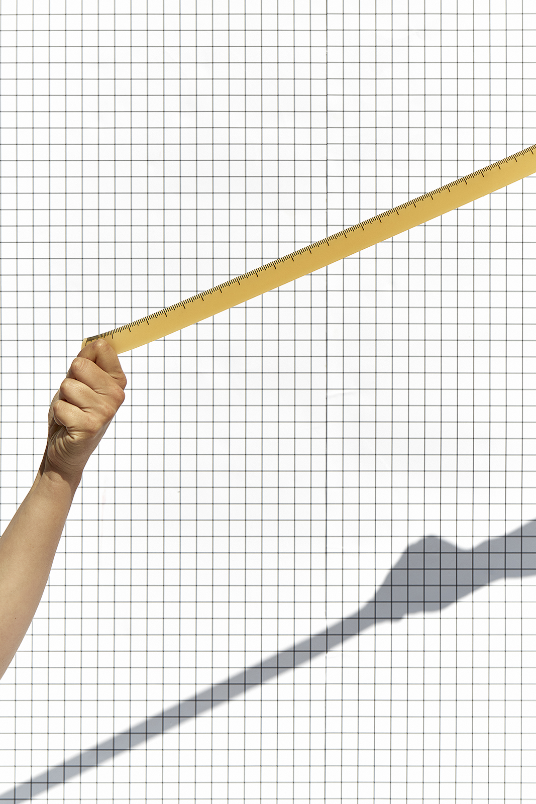 Elastic Ruler