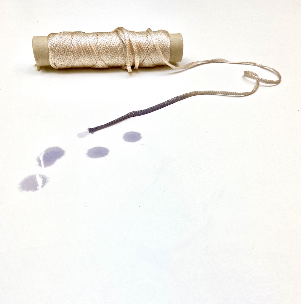 Paracord geverfd met bacterie verf