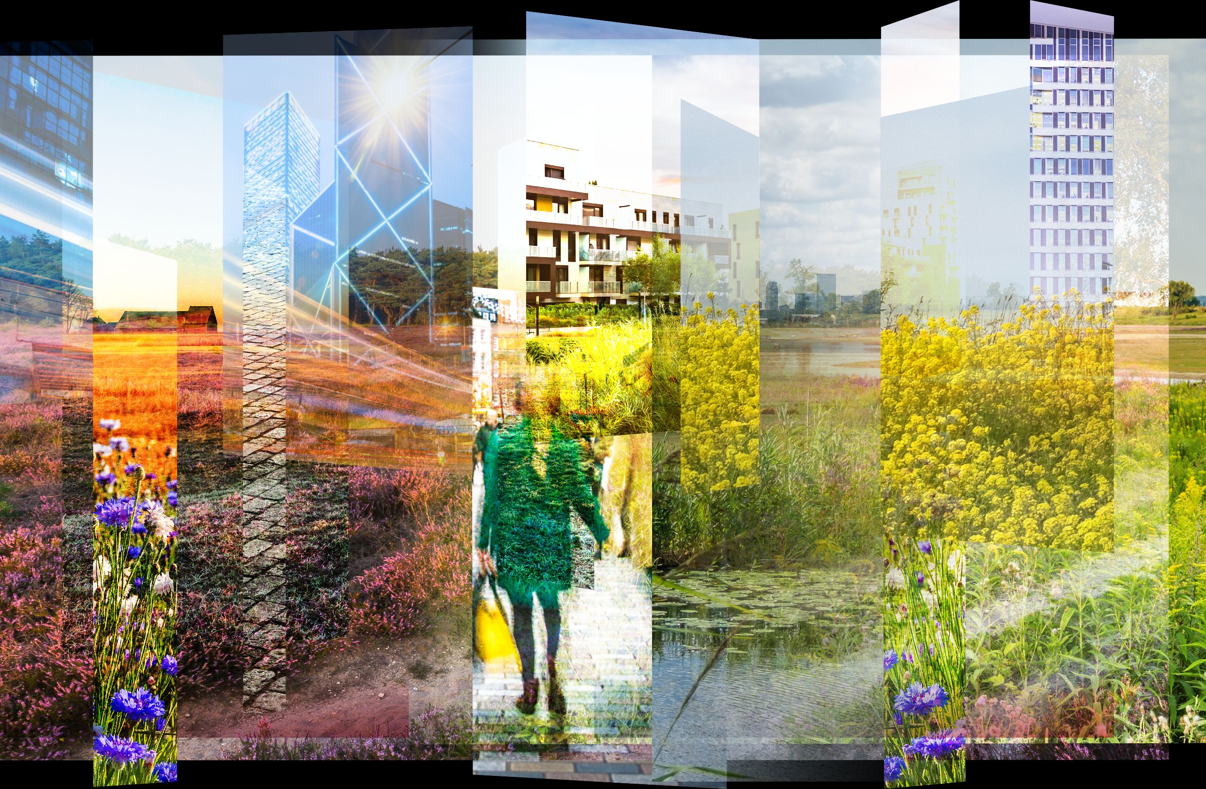 Impressie Brabant Living Landscape DDW 2019
