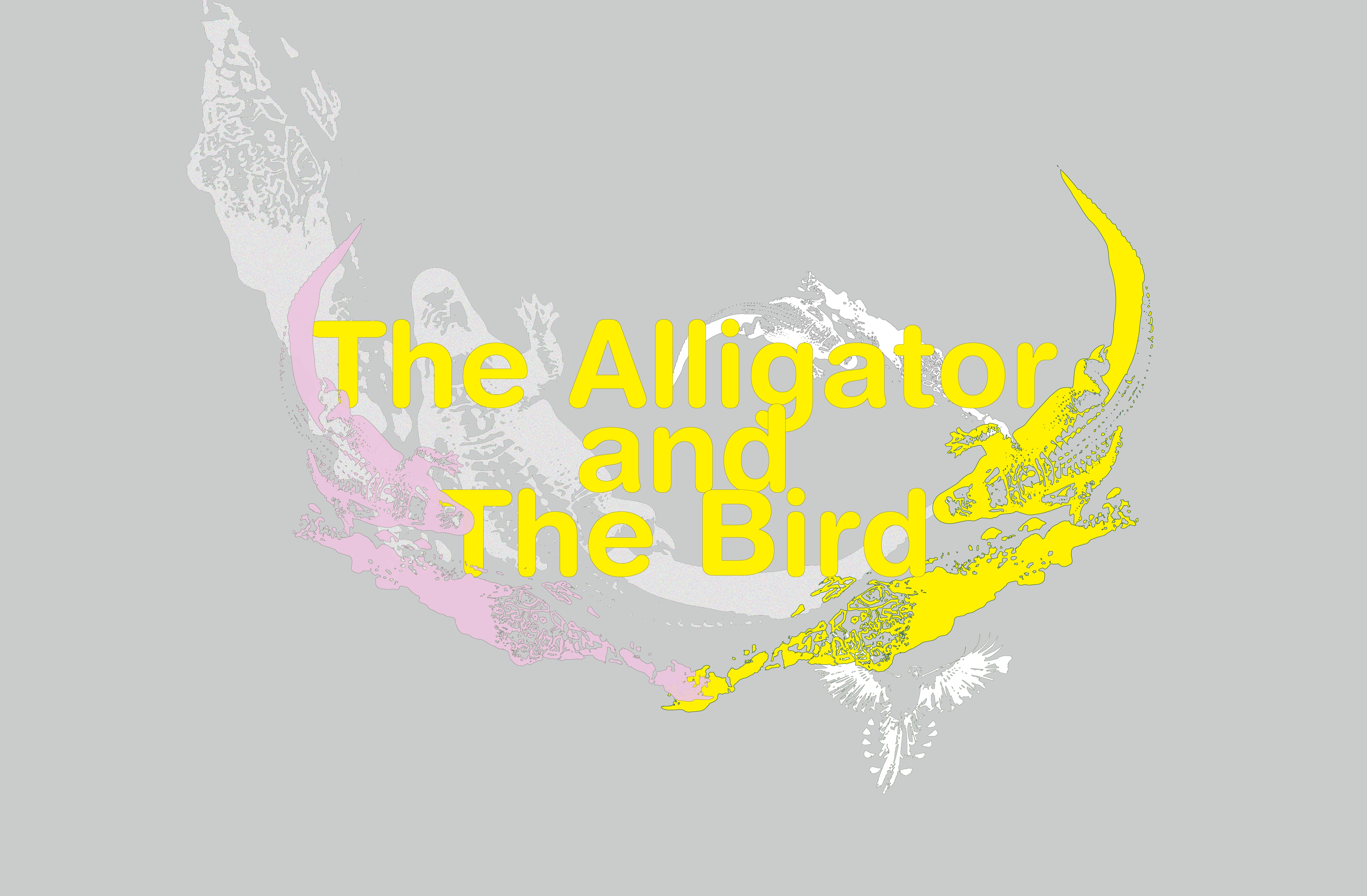 The Alligator and the Bird