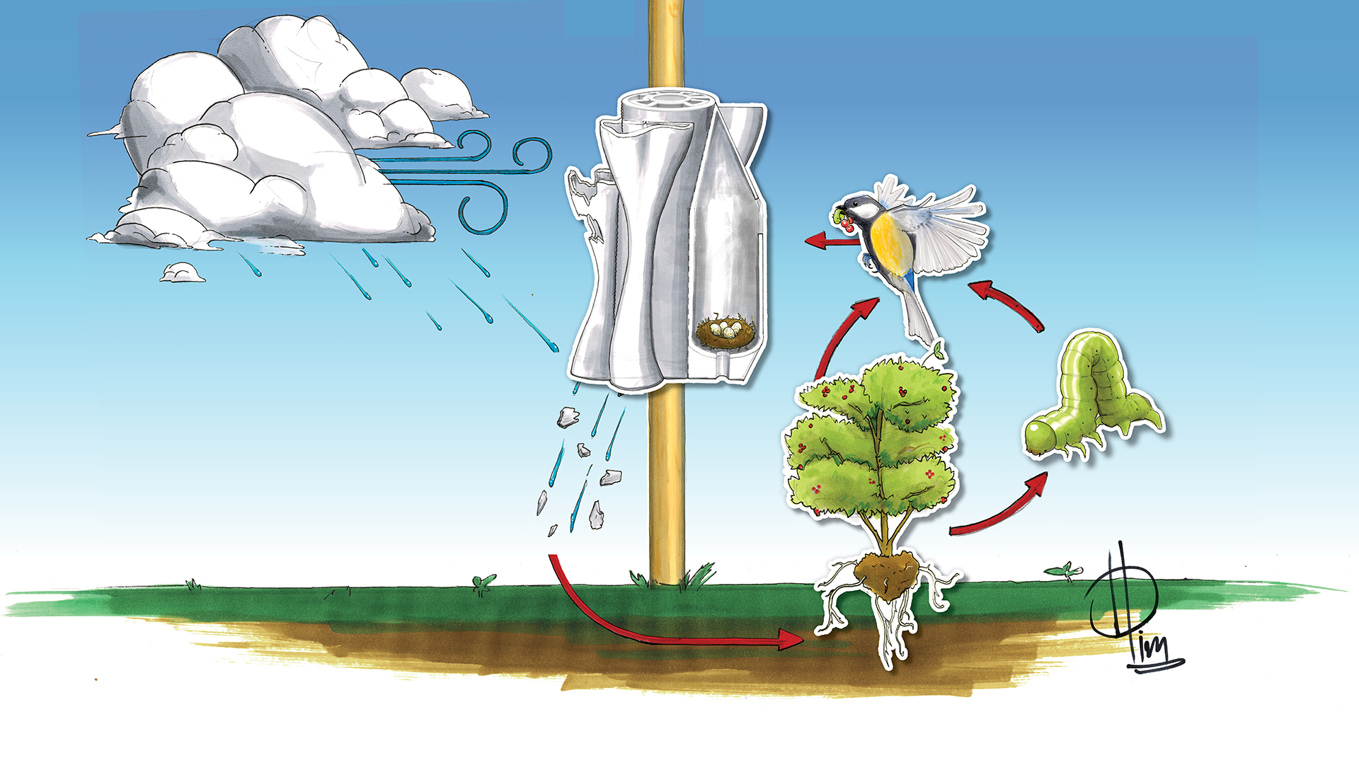 Illustration of ecological processes