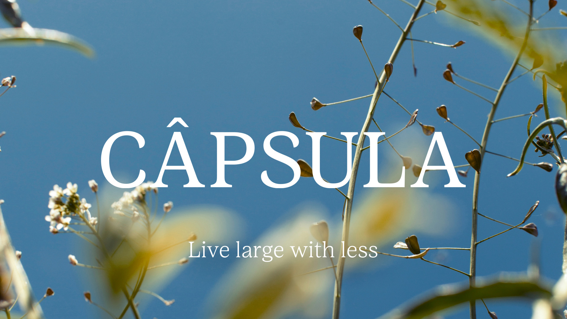Câpsula sets a new standard for well-being
