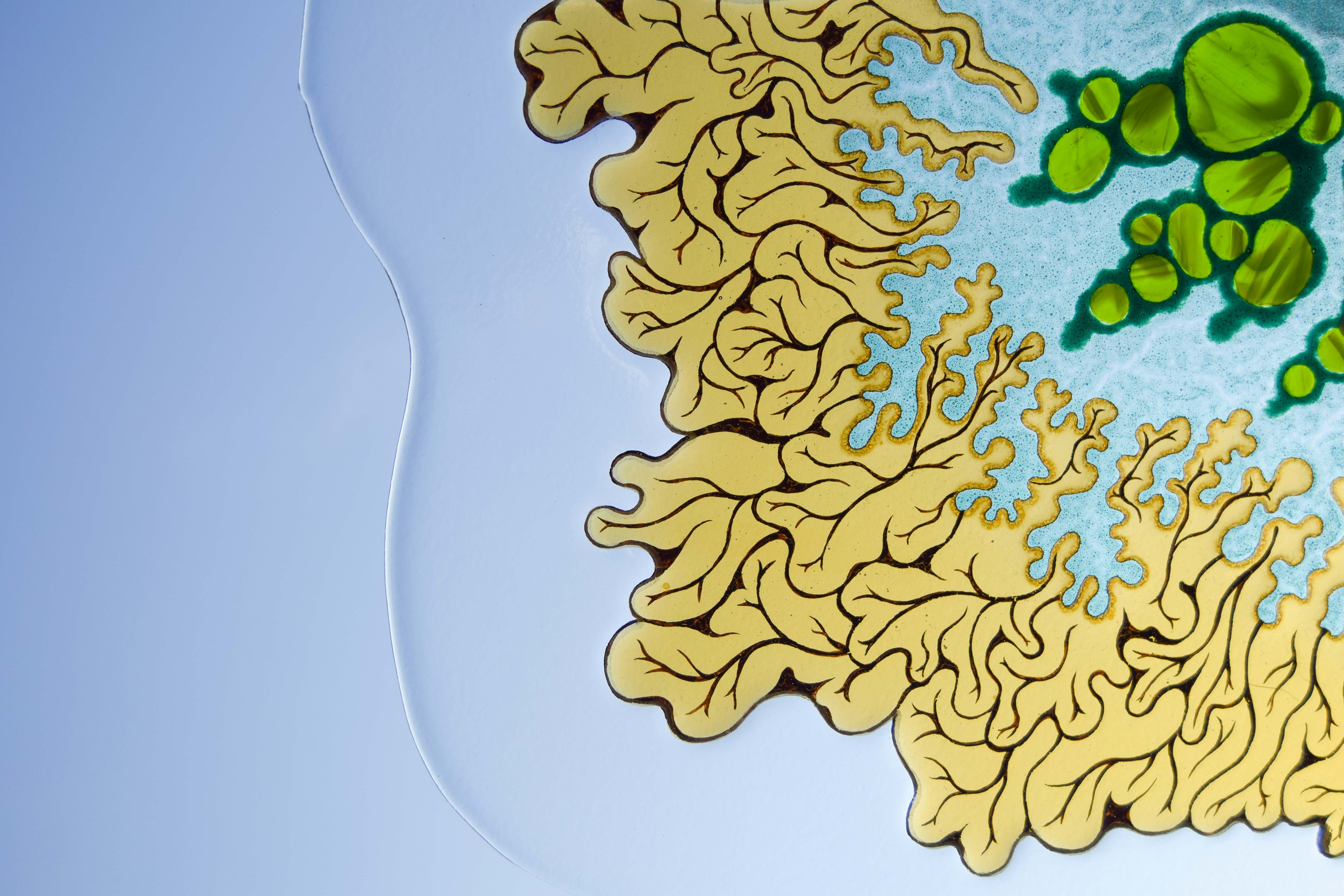Close up Symbiosis