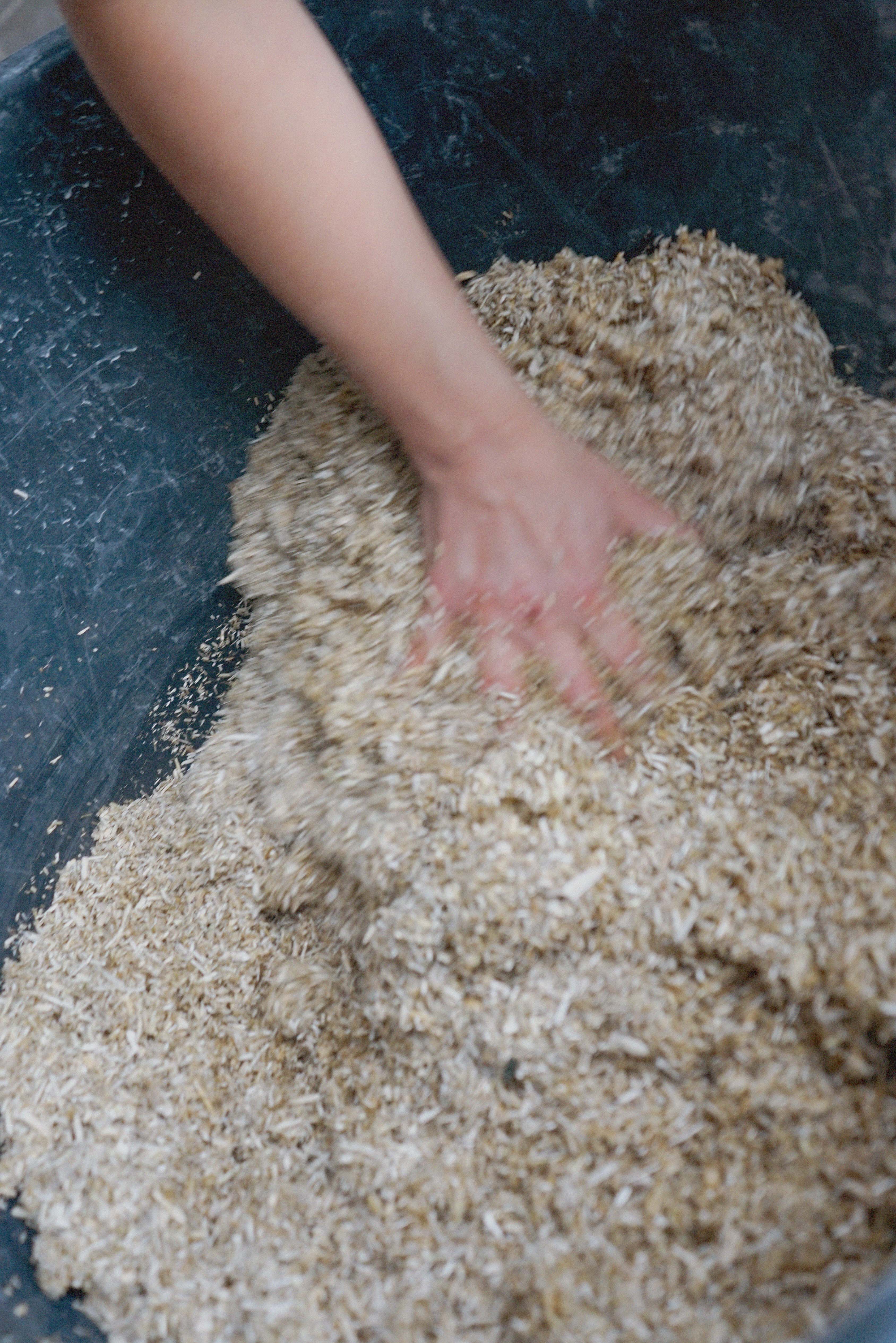 Hemp-it-yourself / casting process