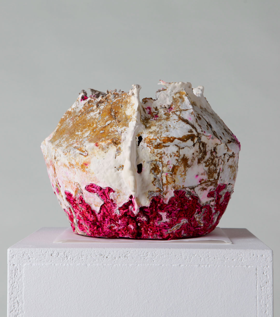 Mycelium Sculpture - Laguna Colorada