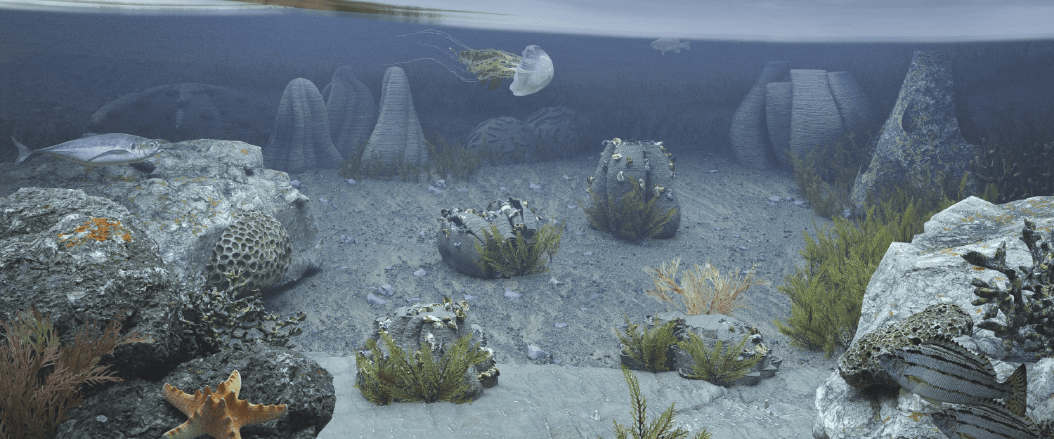 A representation of the underwater memorial reef