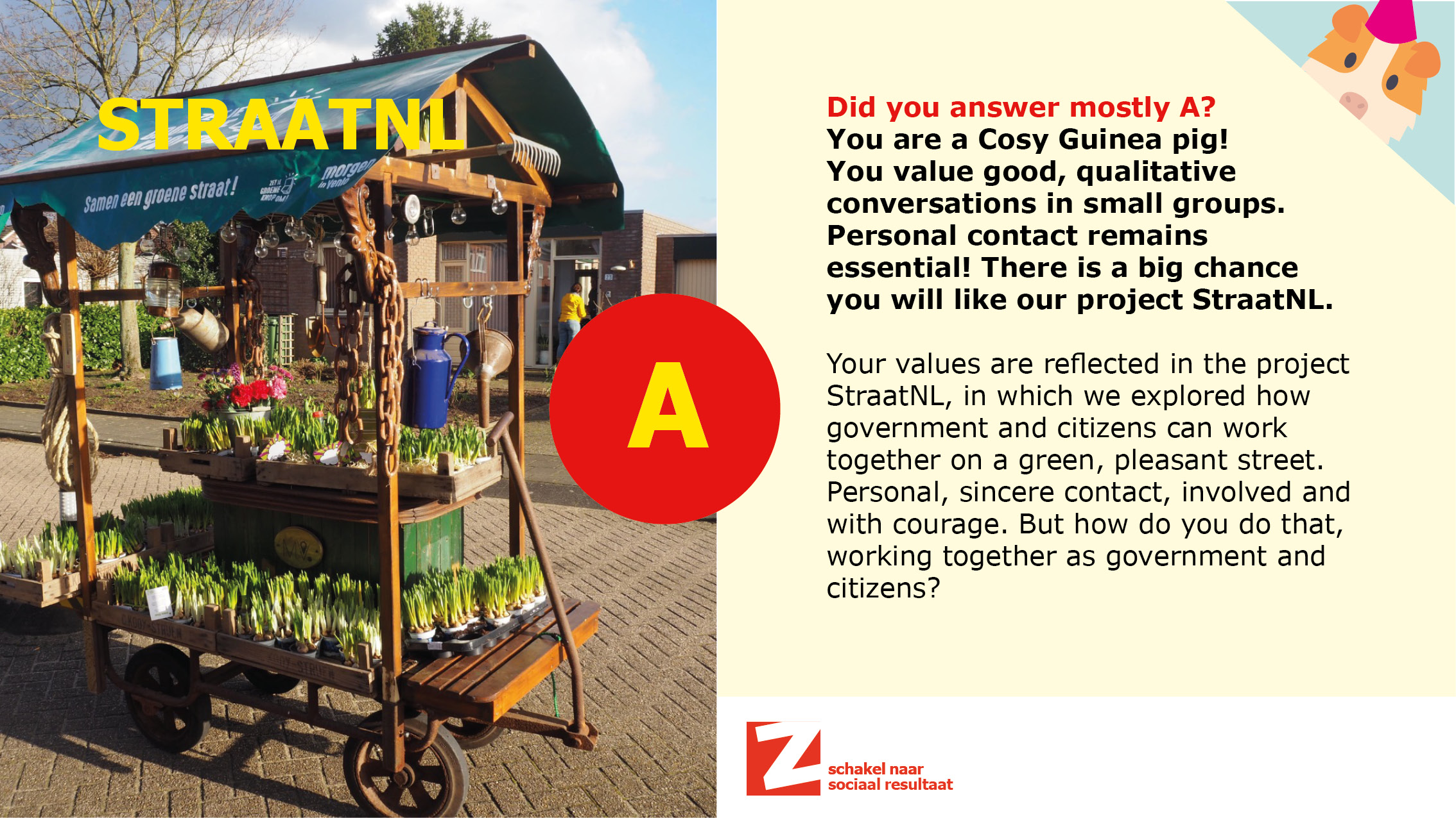 Cosy Guinea pig! Big chance you will like StraatNL