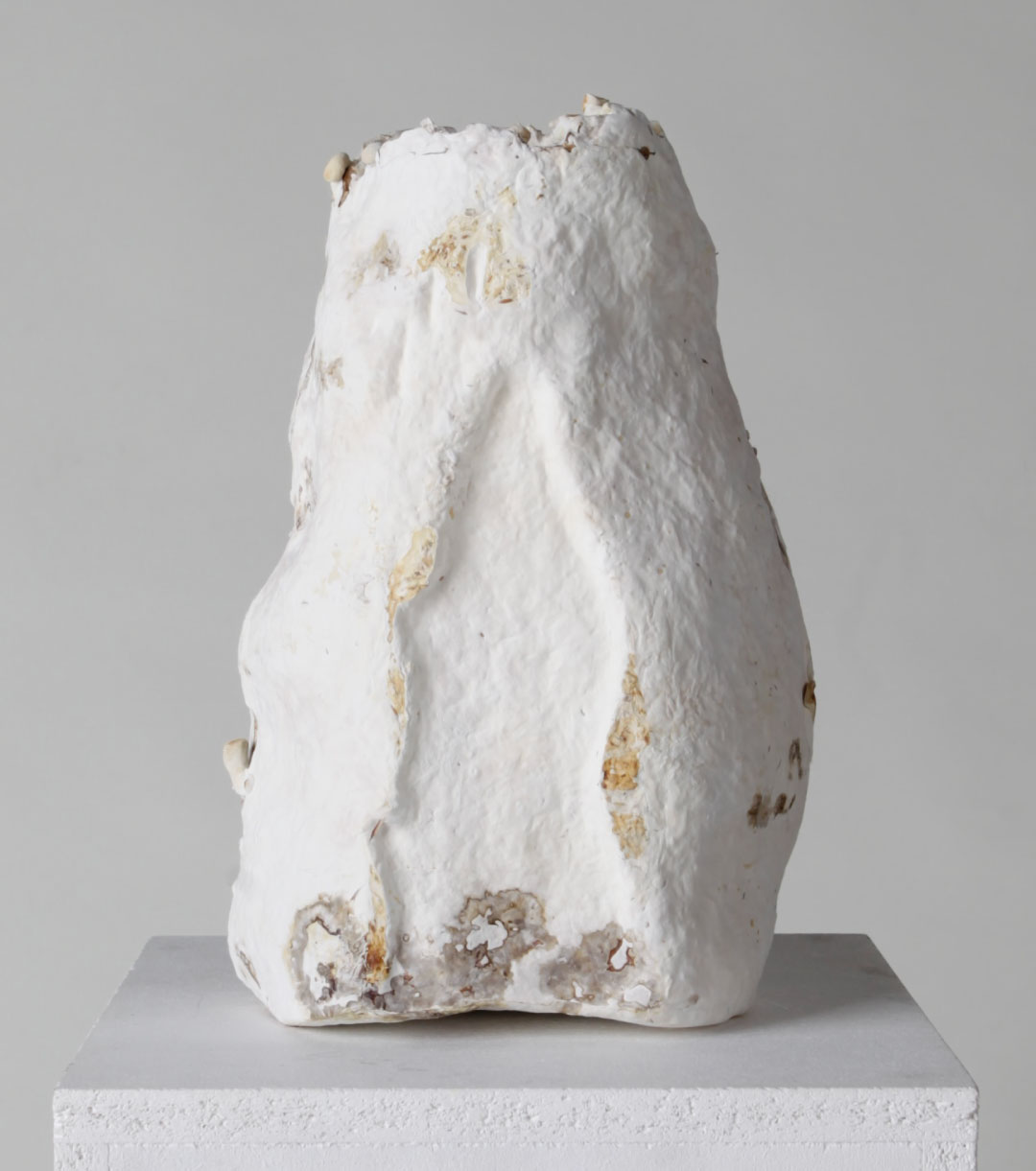 Mycelium Sculpture - Salar de Uyuni
