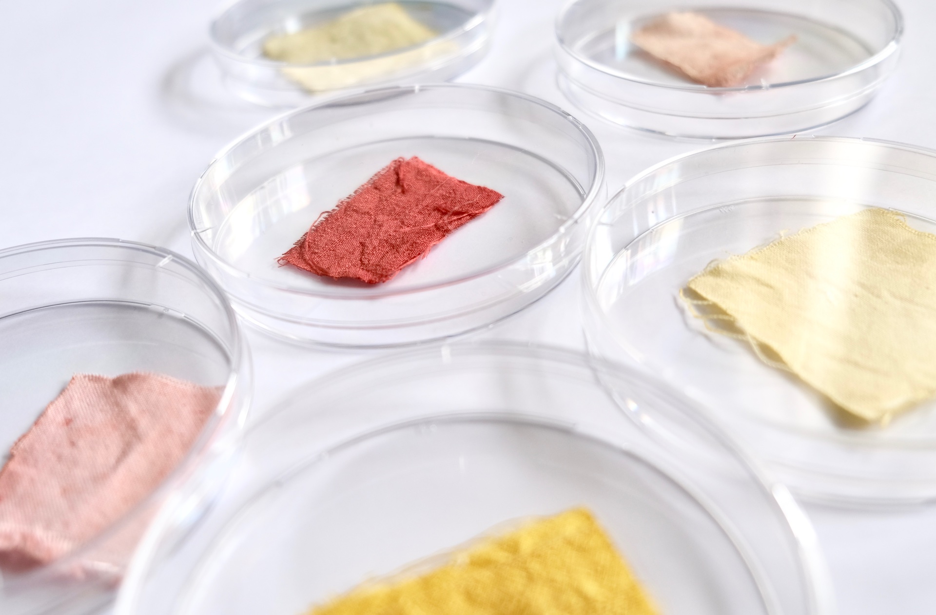 Test results of different fungal dyes