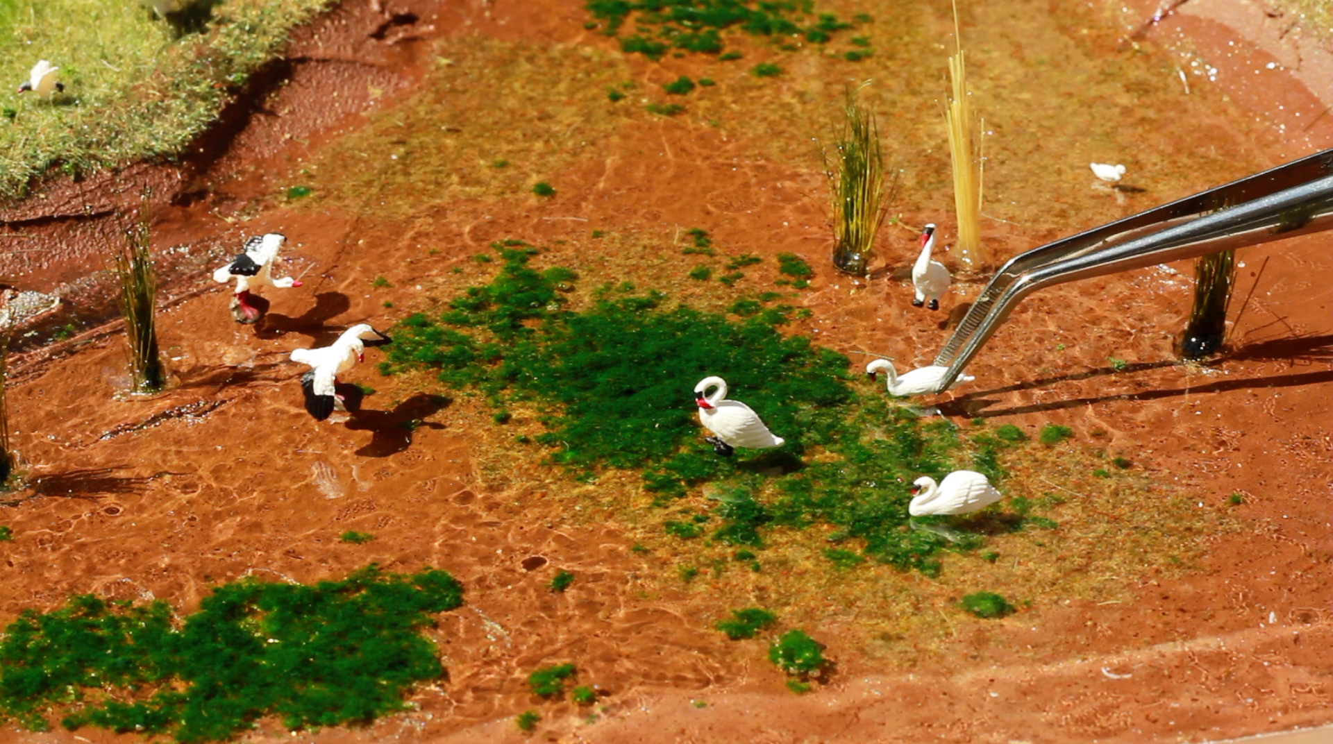 Screenshot from film: Landscape Lab