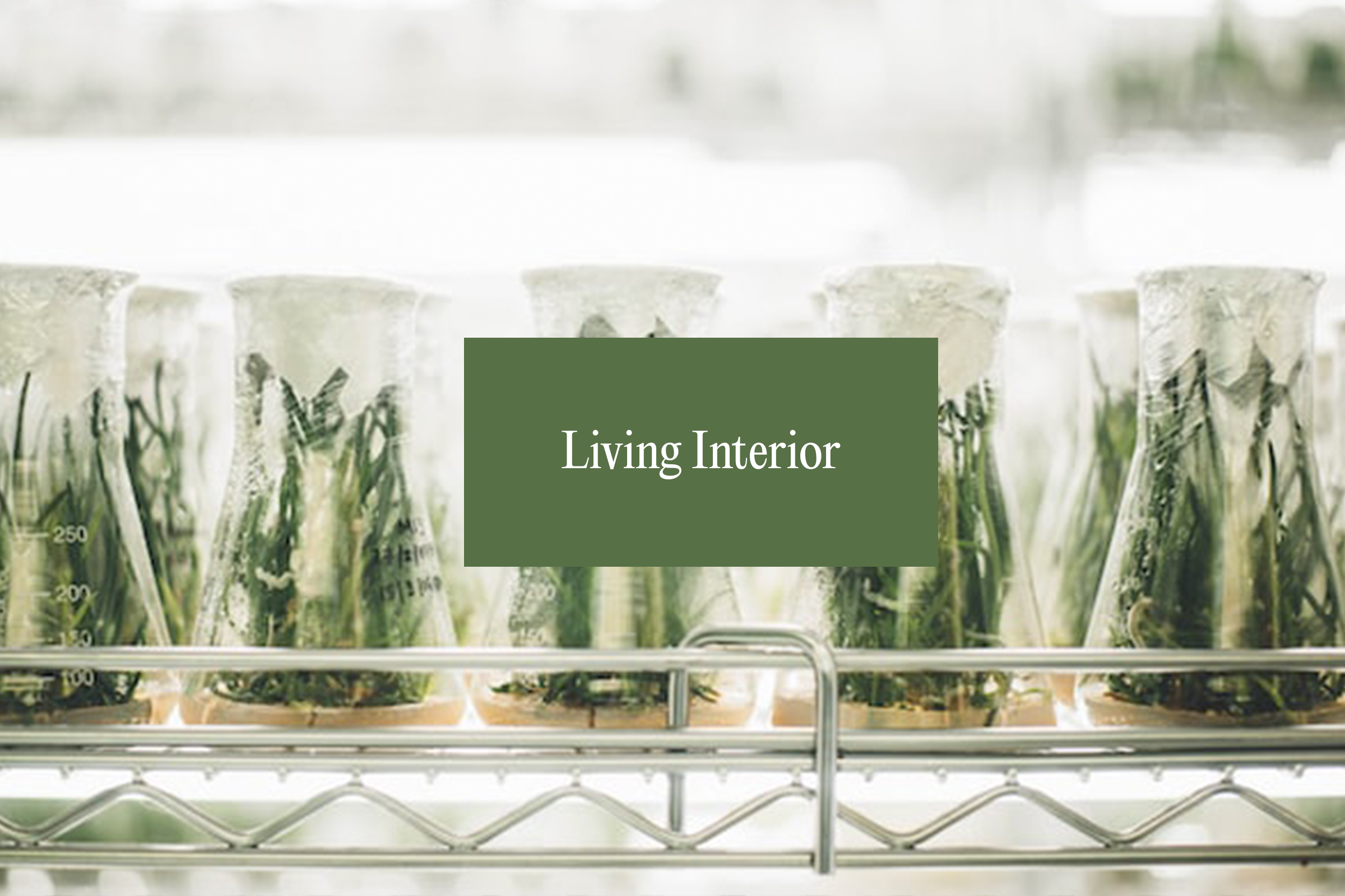 Altering Futures: Living Interior