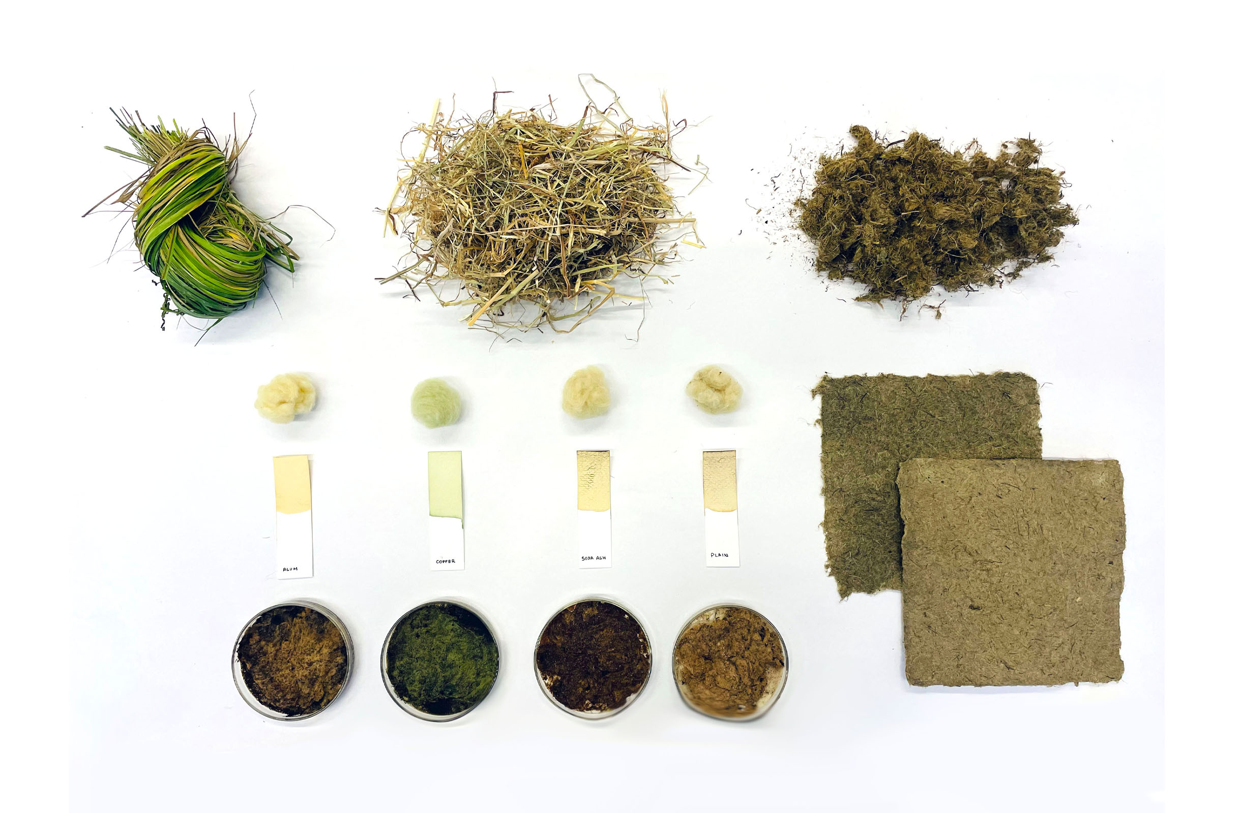 25% of the total land area in Netherland is grass.