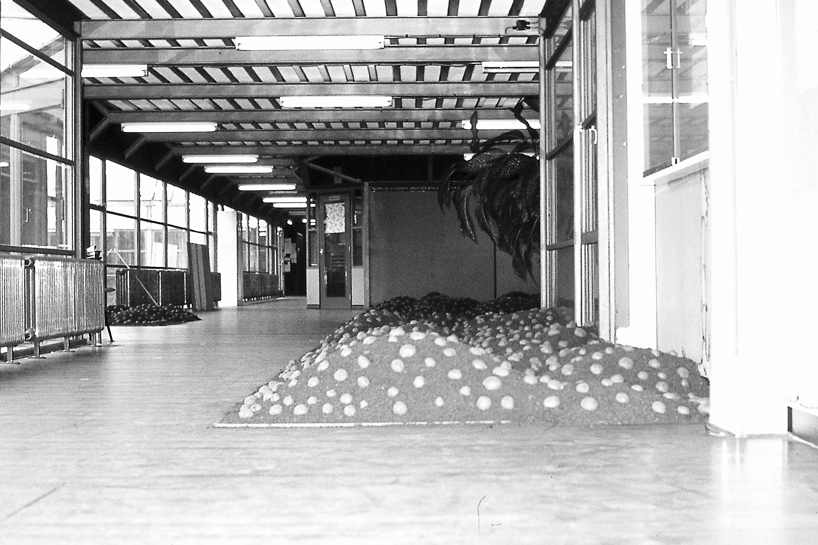 Toon Leemans: Nature's Additions Situations, 1973