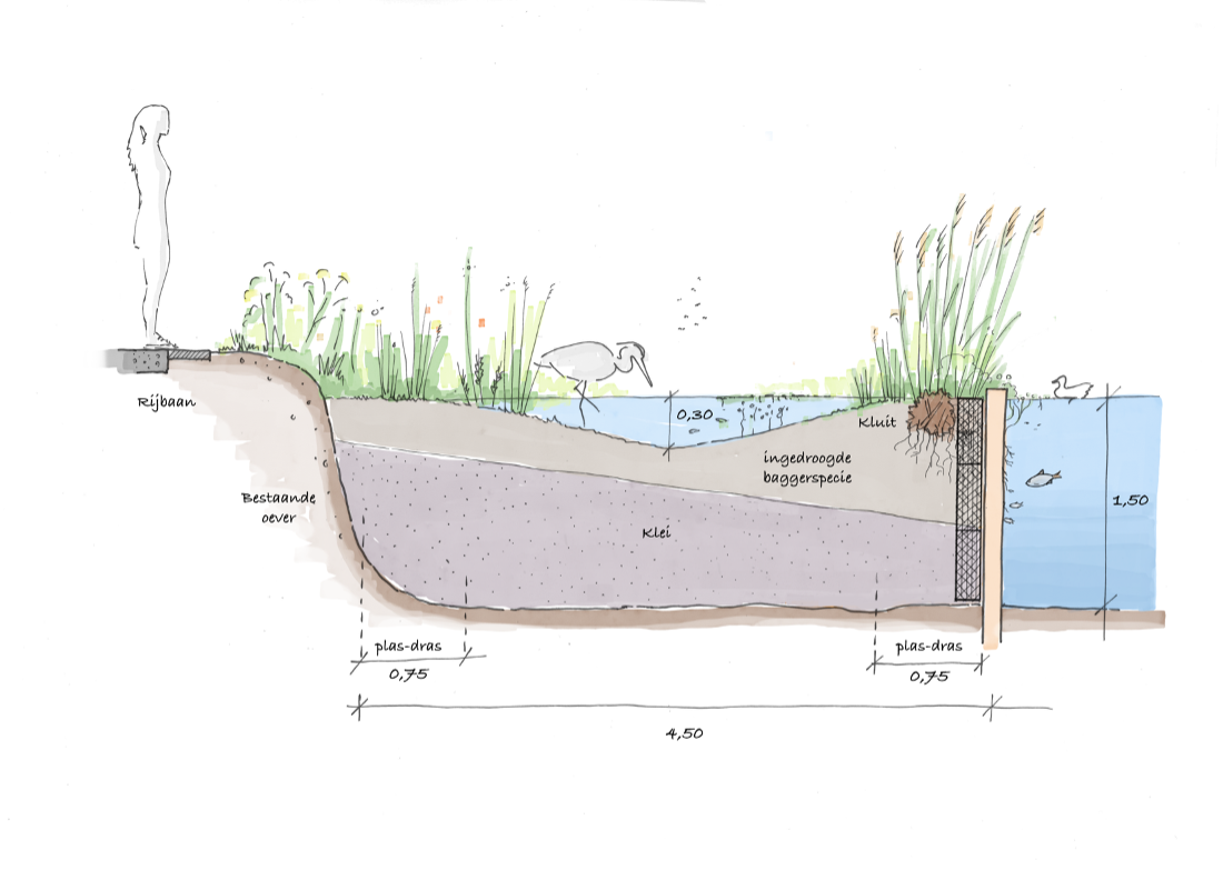Ontwerp van nature based oever