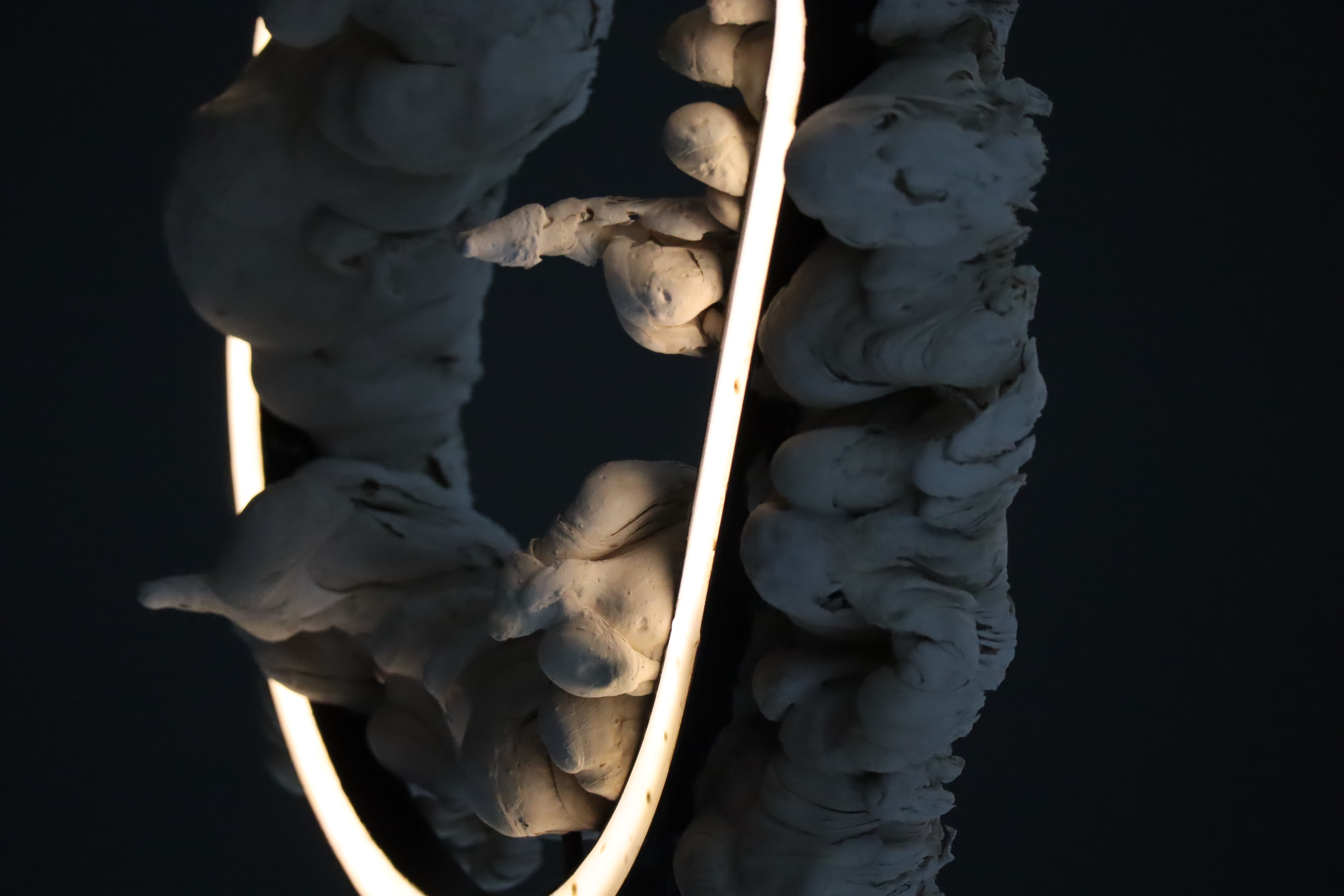 LIQUID CAST - Detail