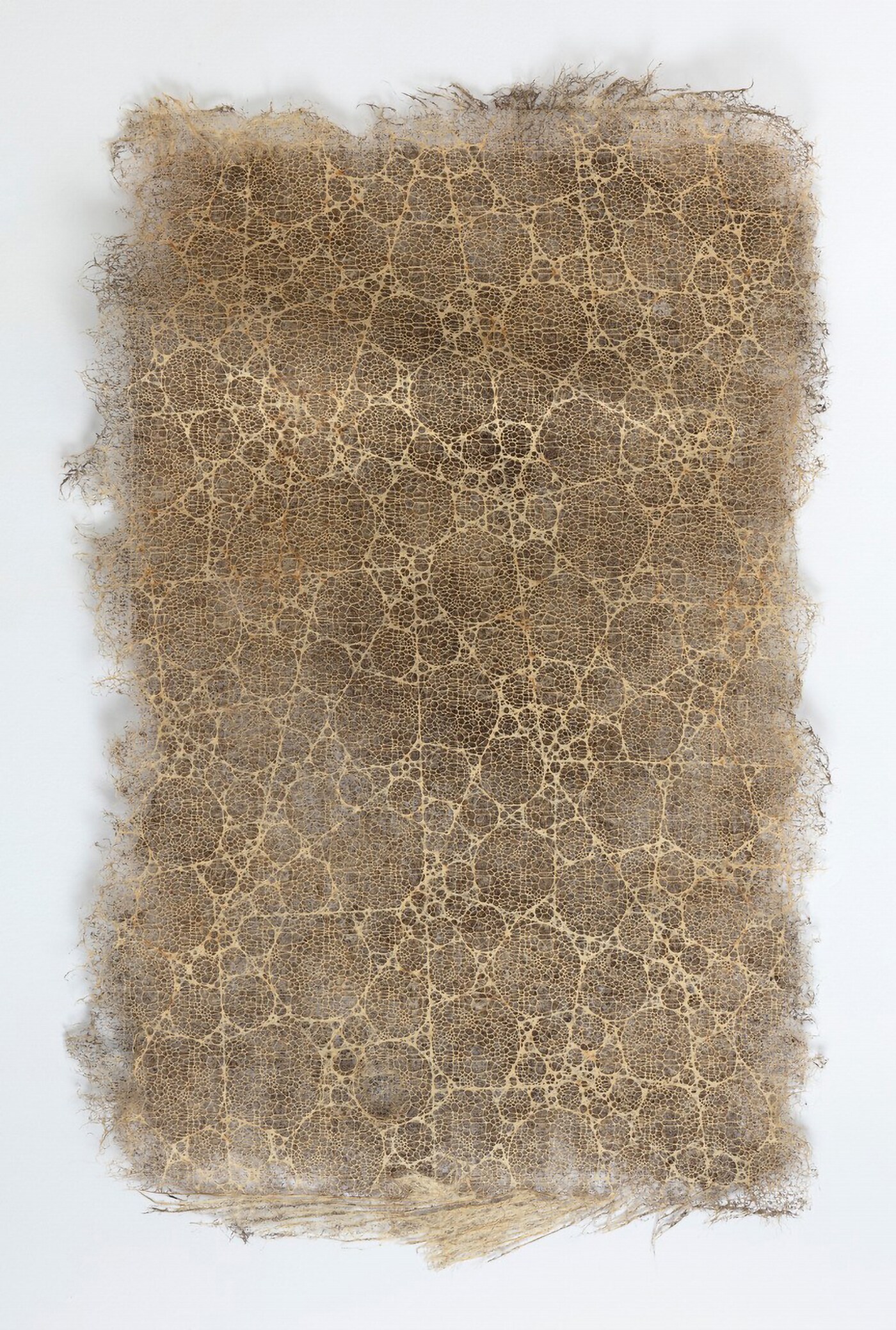 Diana Scherer, Farming Textiles