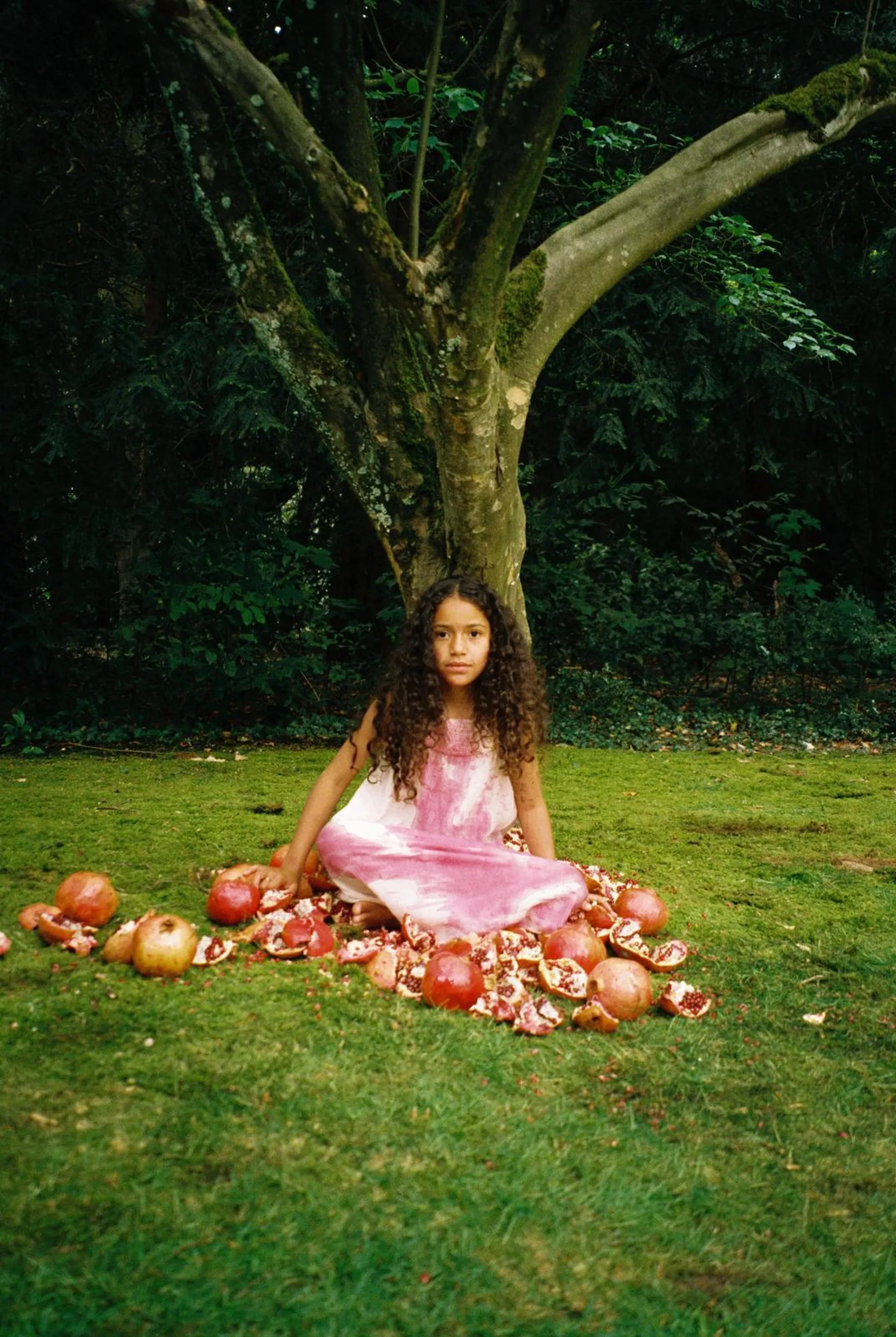 Dilba Yasin