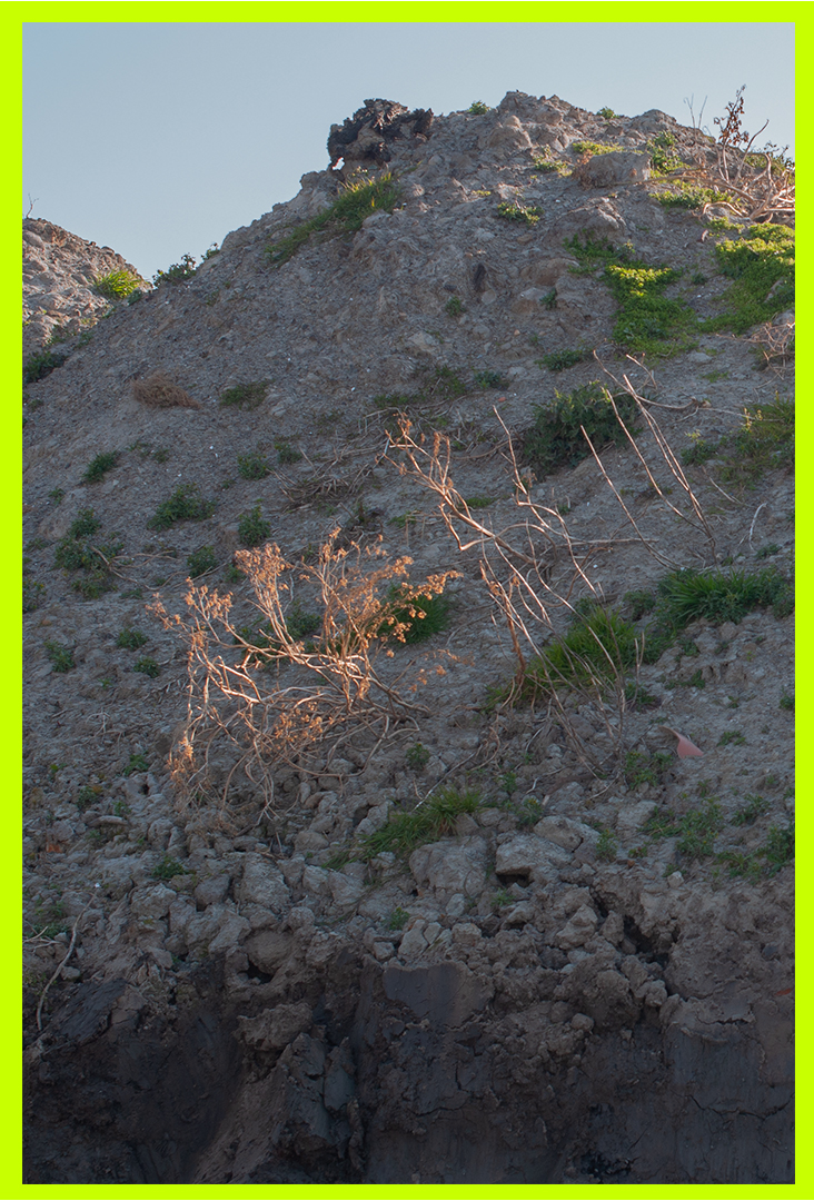 Dirty soil