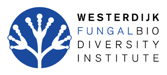 Sponsored by FABULOUS FUNGI