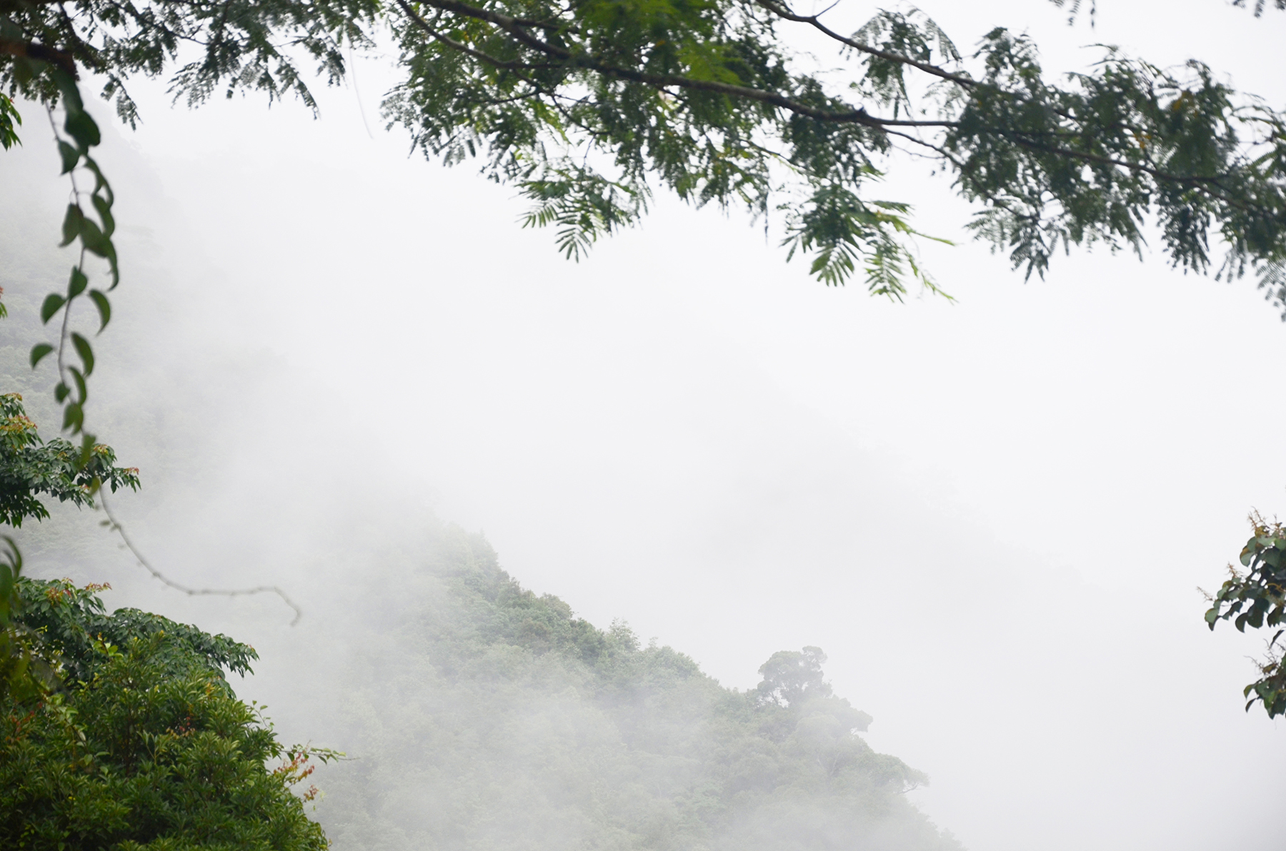 Heavy fog in the early morning