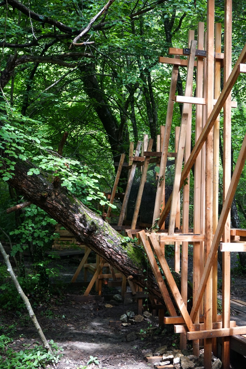 The Regenerative Ruin