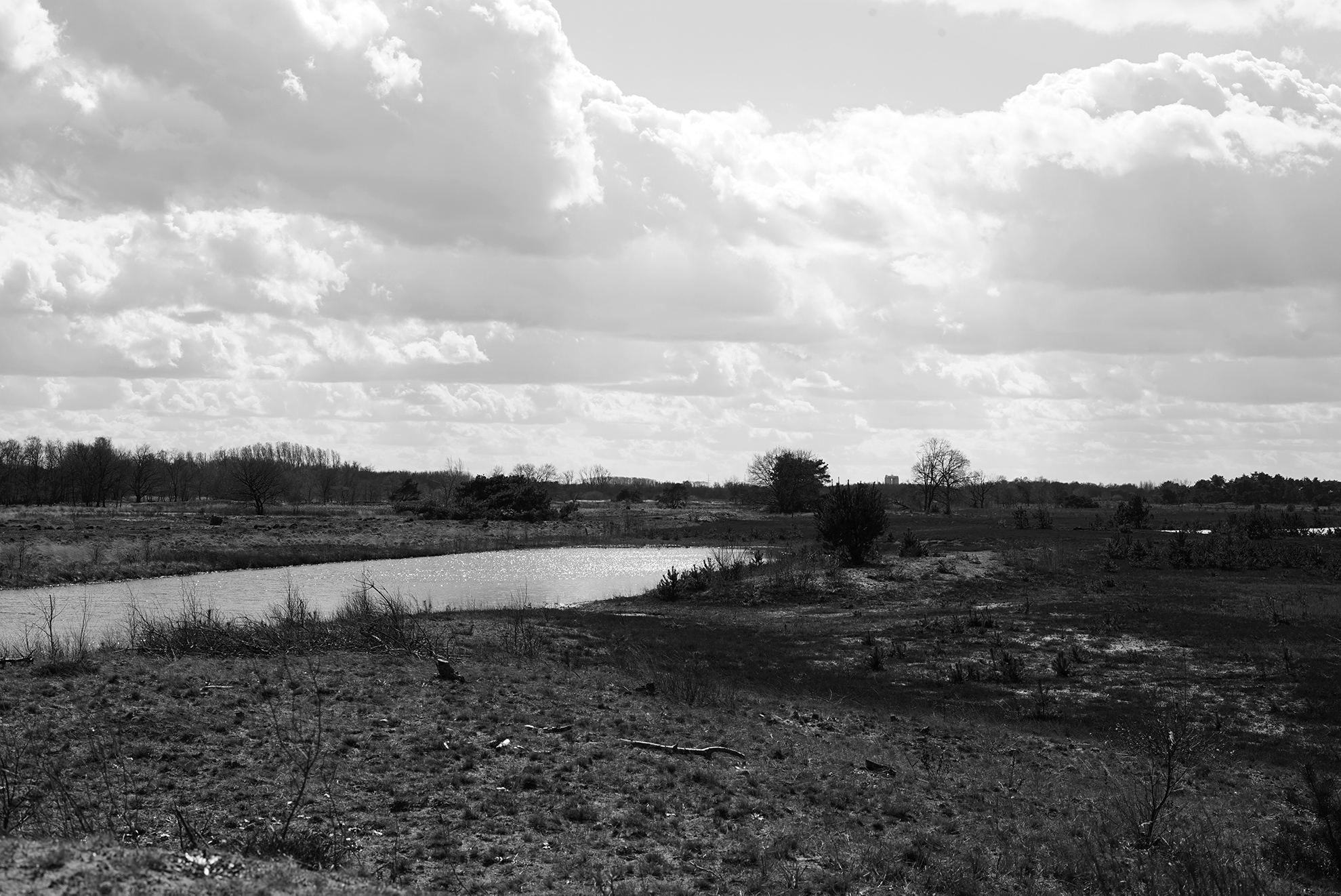 The Dommel river catchment area