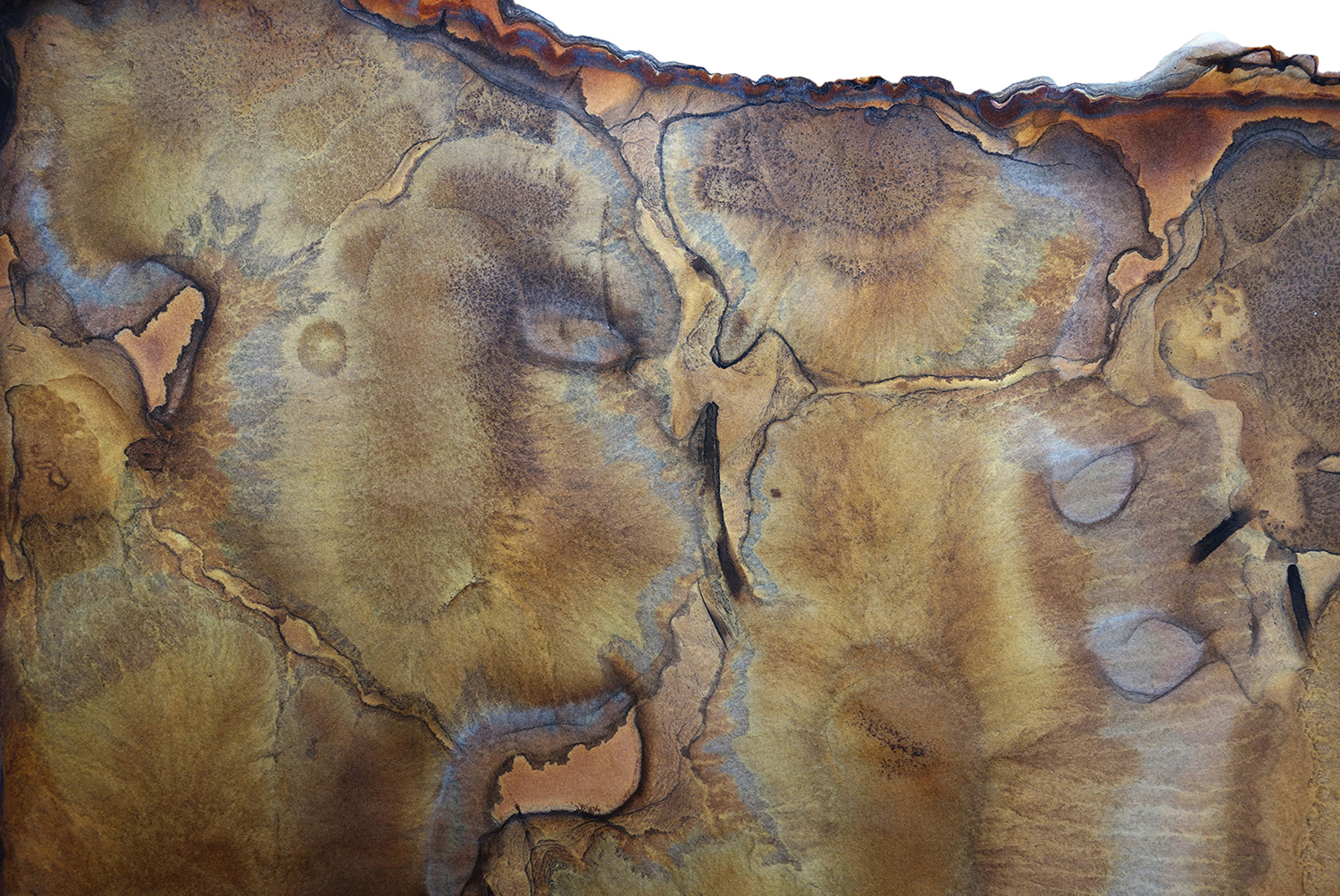 Collaborative Chromatographic Mapping I