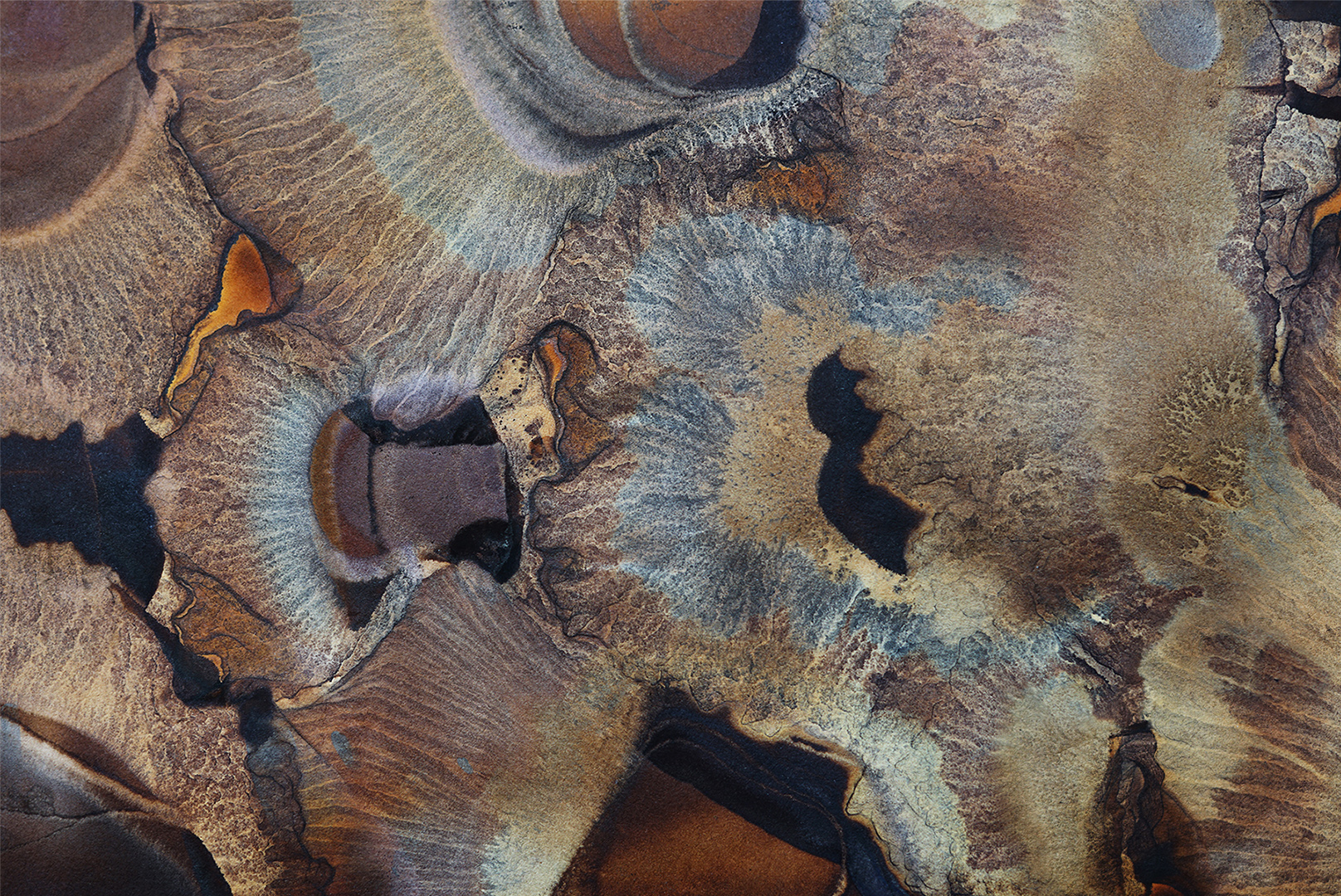 Collaborative Chromatographic Mapping II
