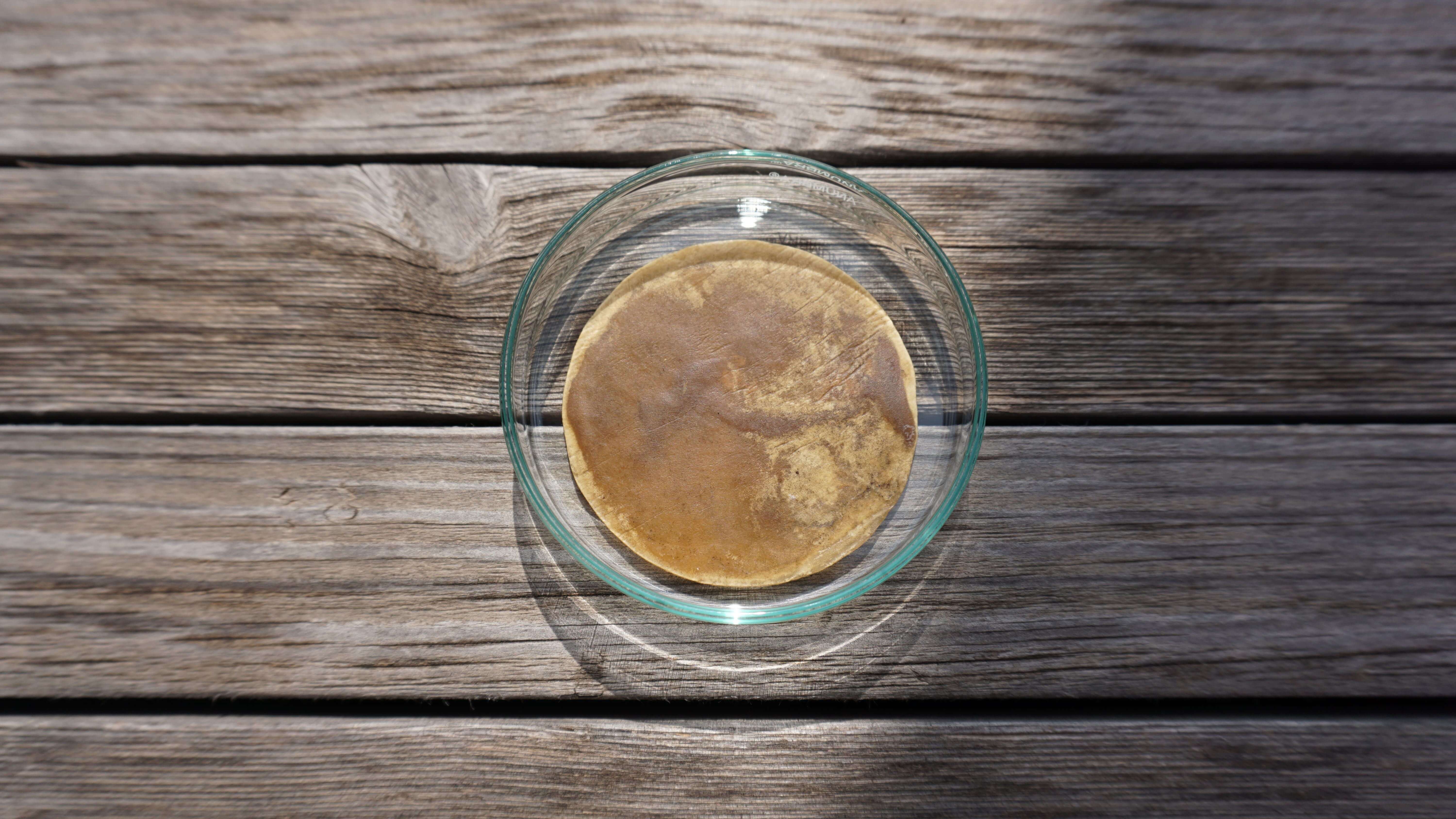 Pure mycelium leather (Reishi mycelium)