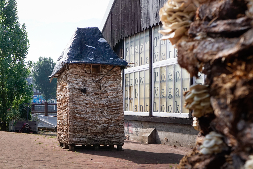 Pigeon Tower