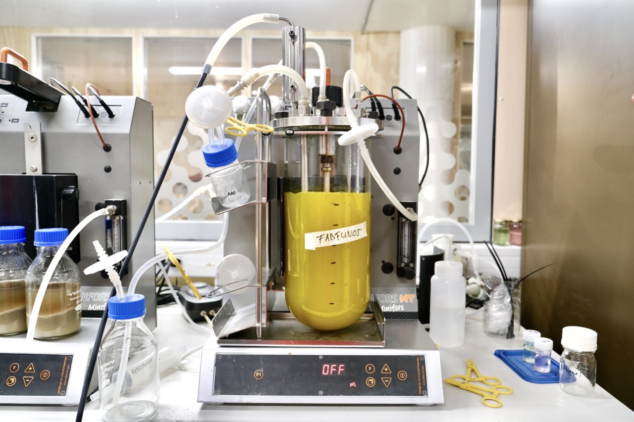 Laboratory Setup