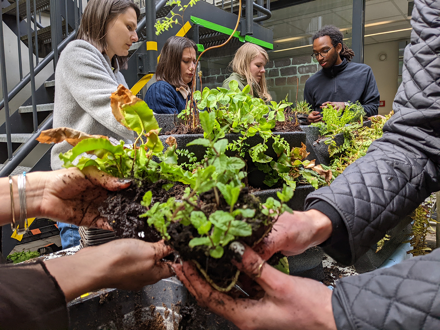 Green wall - Earth Day event