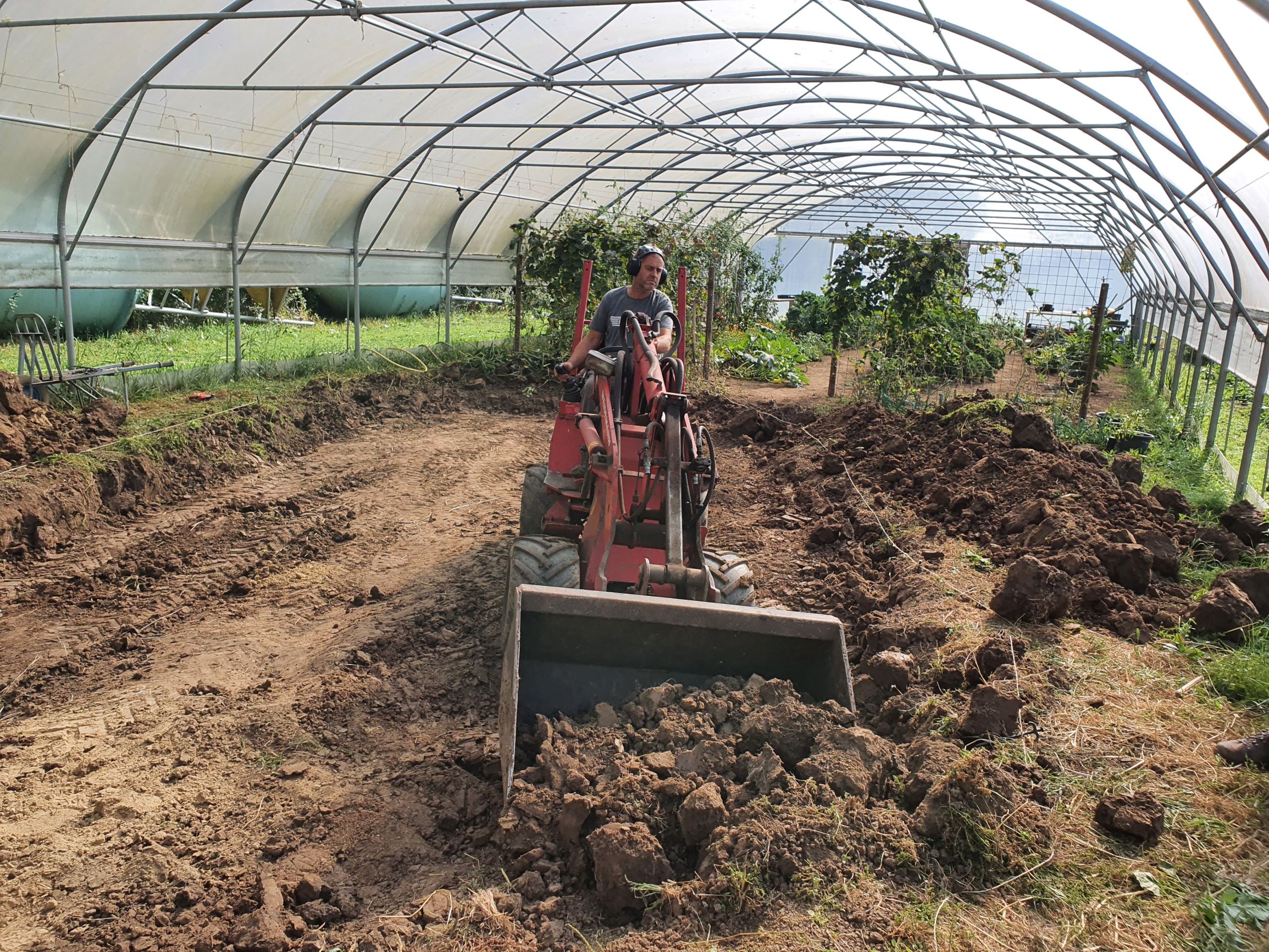 Eco Oasis de-claying