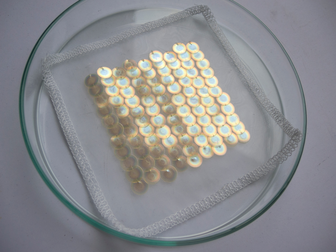 An embroidered sample of Bio Iridescent Sequins