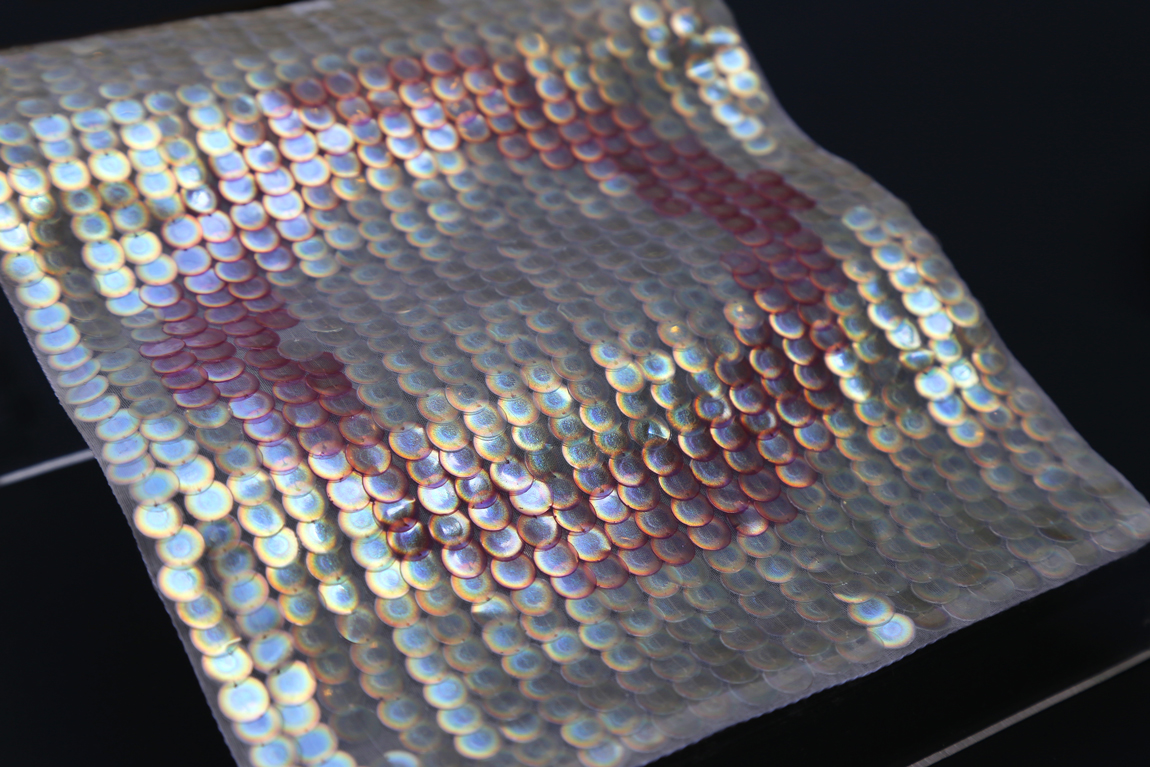 An embroidered sample of Bio Iridescent Sequins