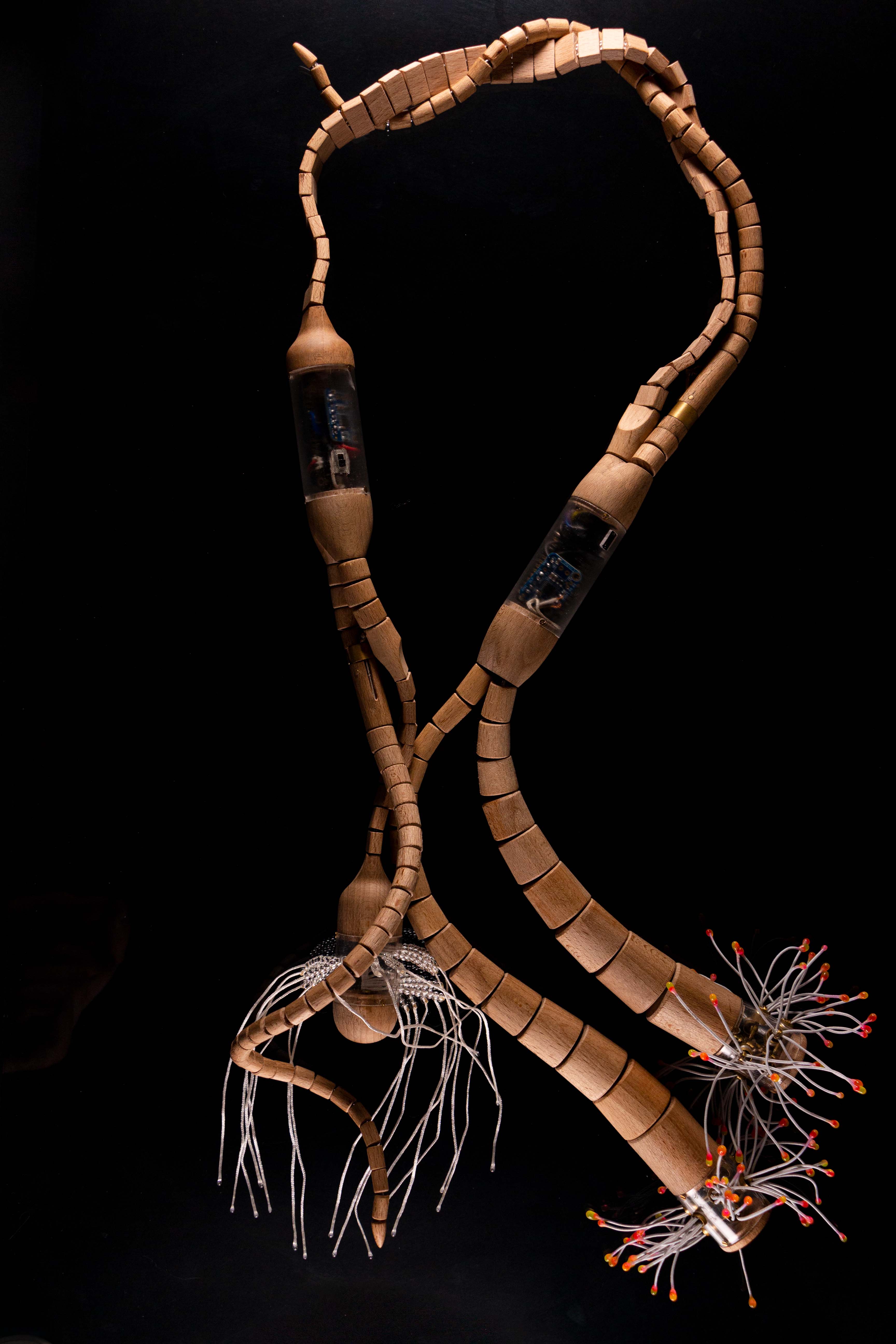 Coral Necklace