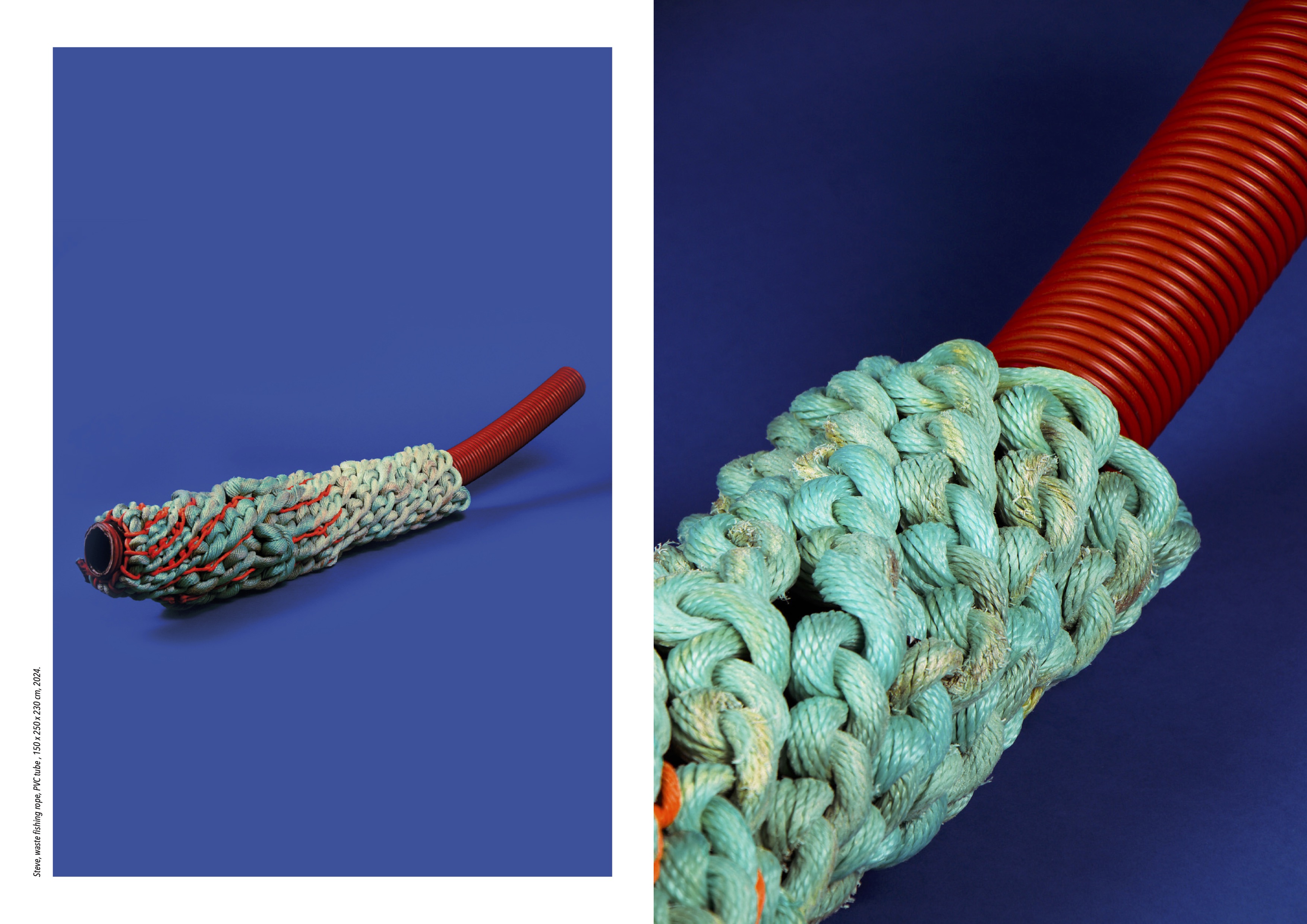Steve, fishing rope, PVC tube, 150 x 250 x 230 cm