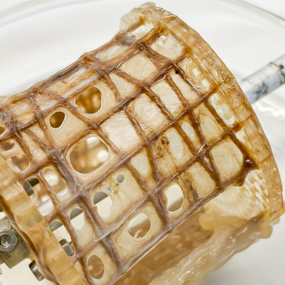 Dried sample