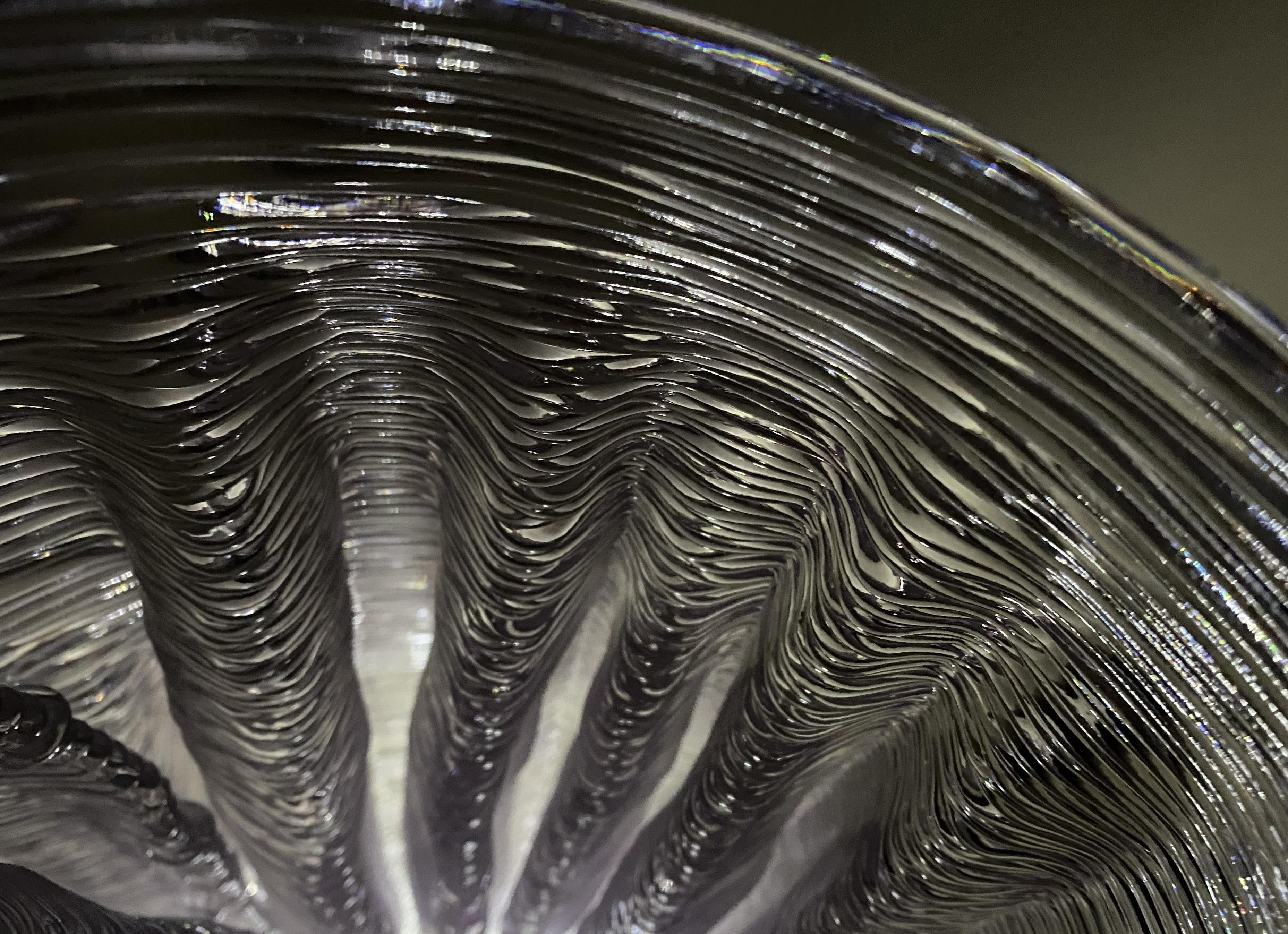 Growth Sculpture by NCTU ROLA X NTHU BLD