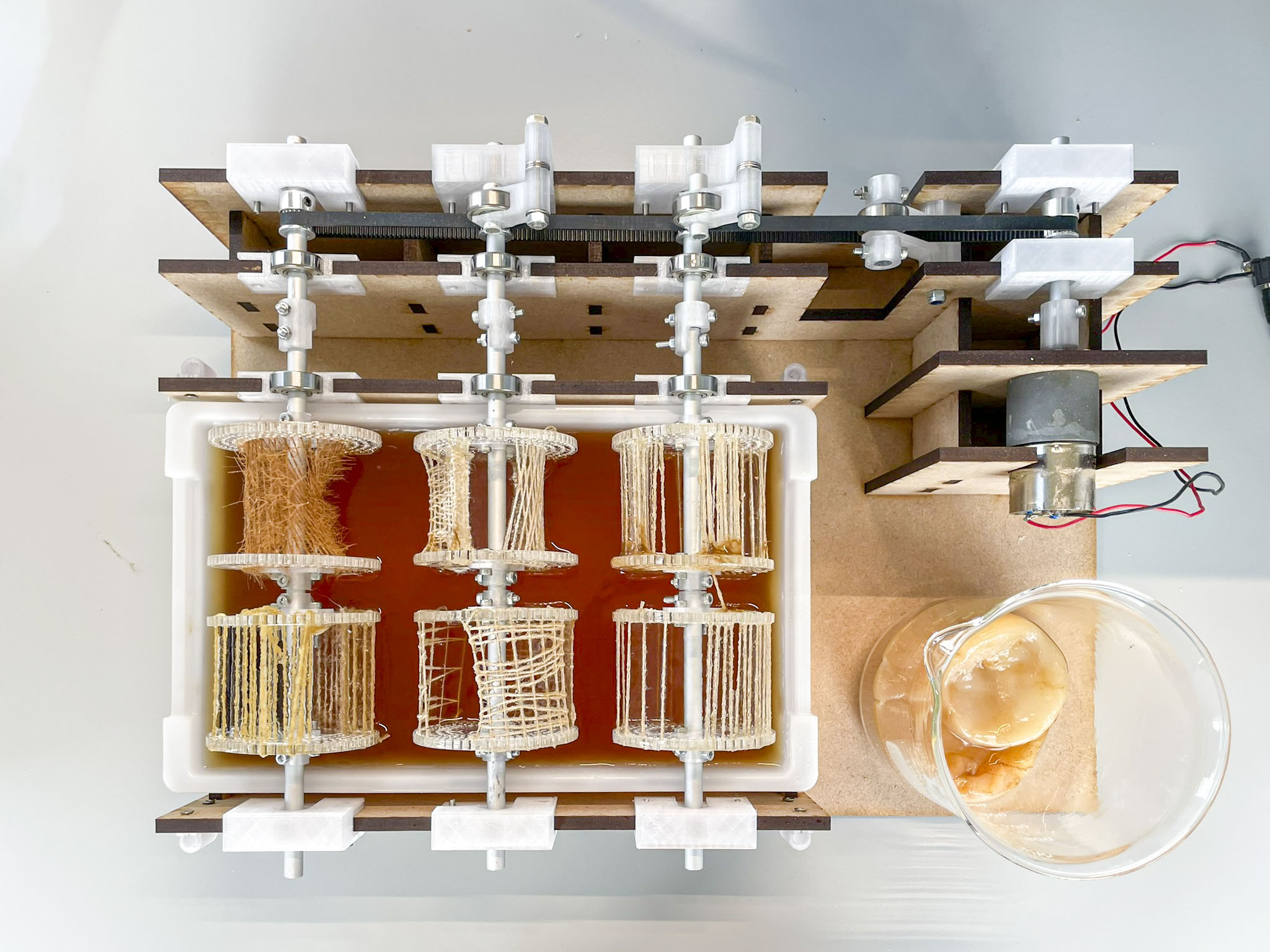 Custom lo-fi bioreactor to experiment with
