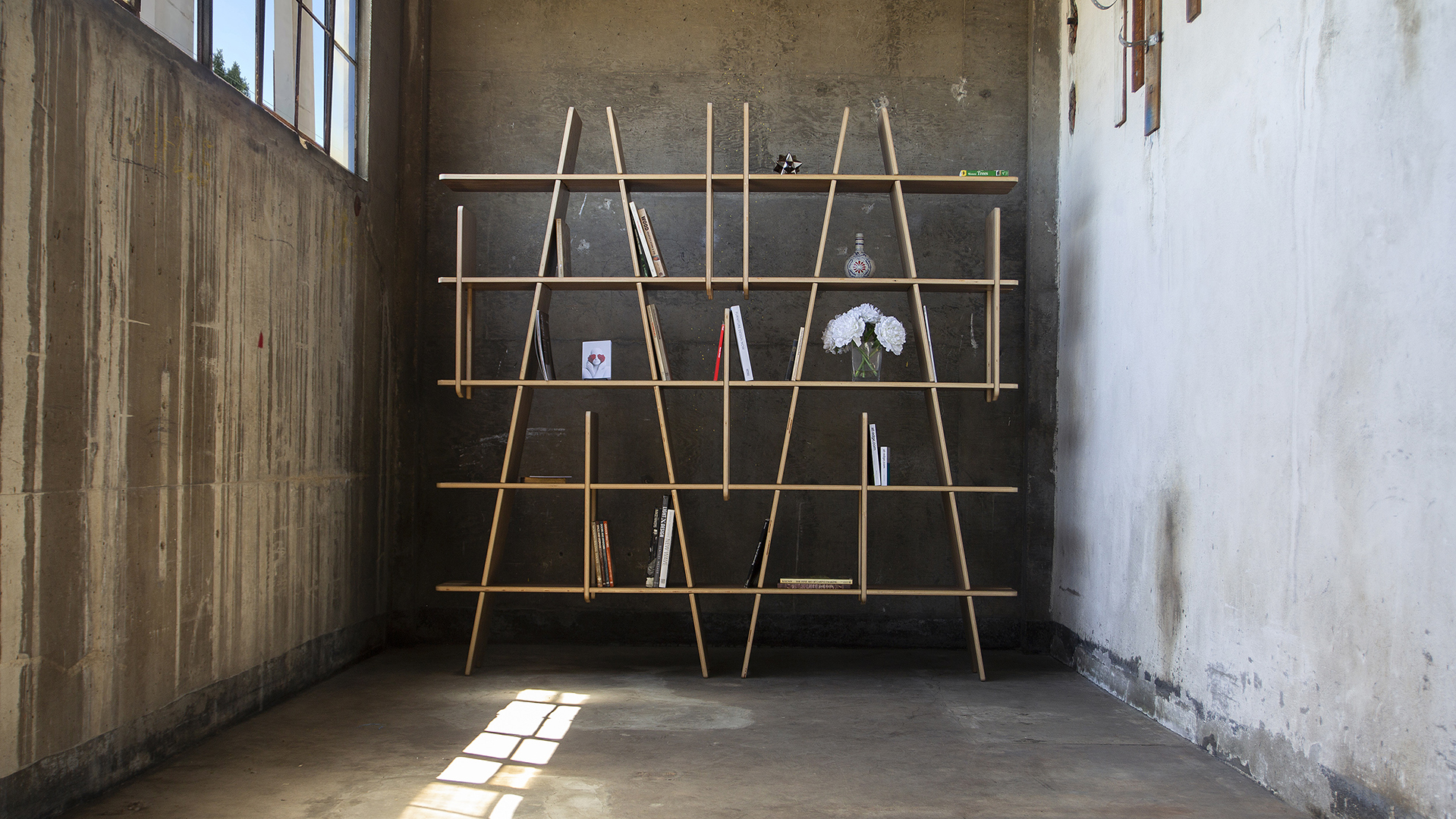 The LINES shelving unit.
