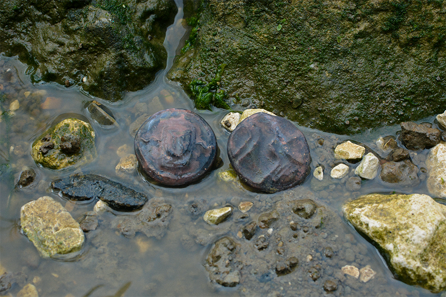 Change for rivers coin in-situ